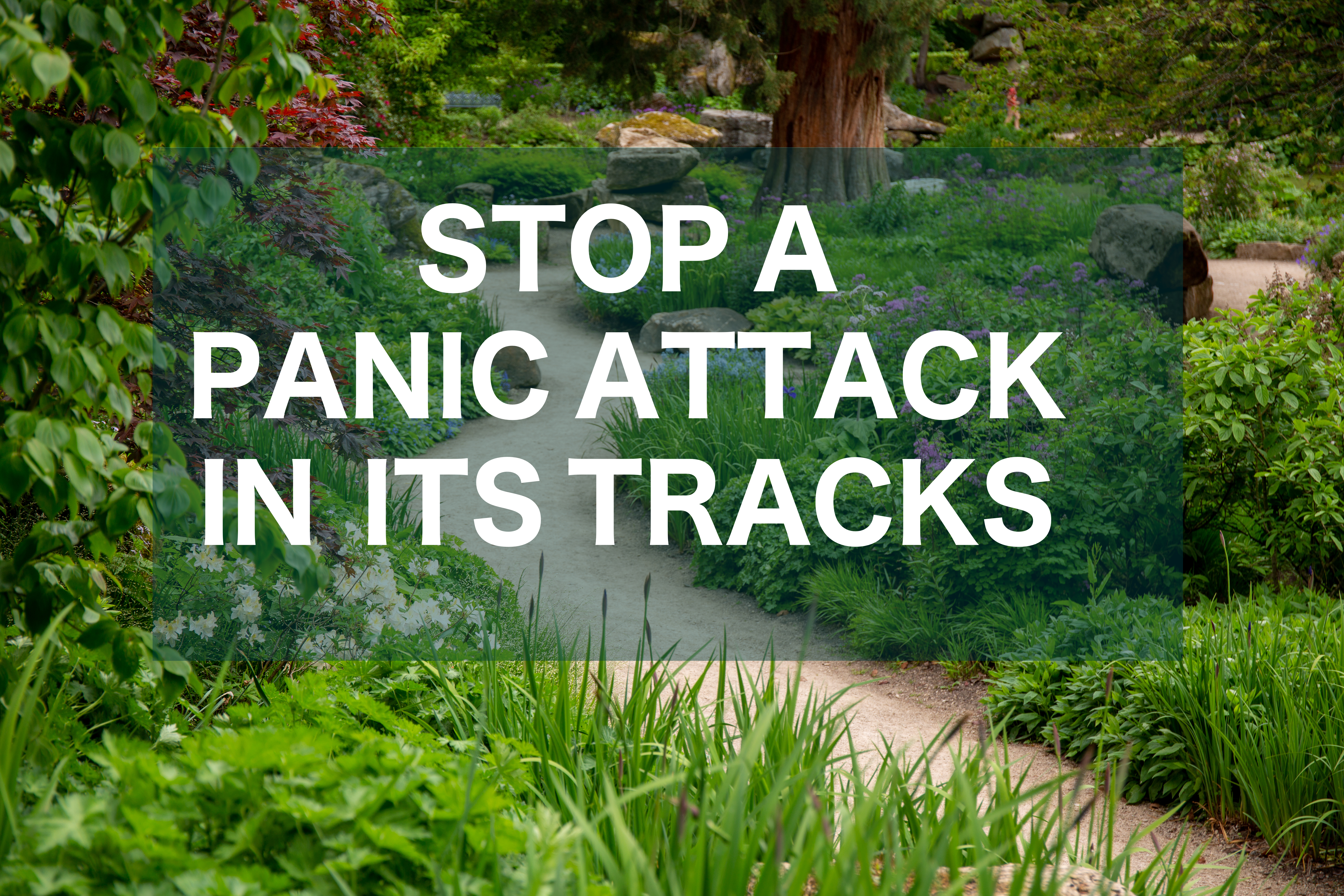 A meditation to overcome a panic attack and return to a state of calmness
