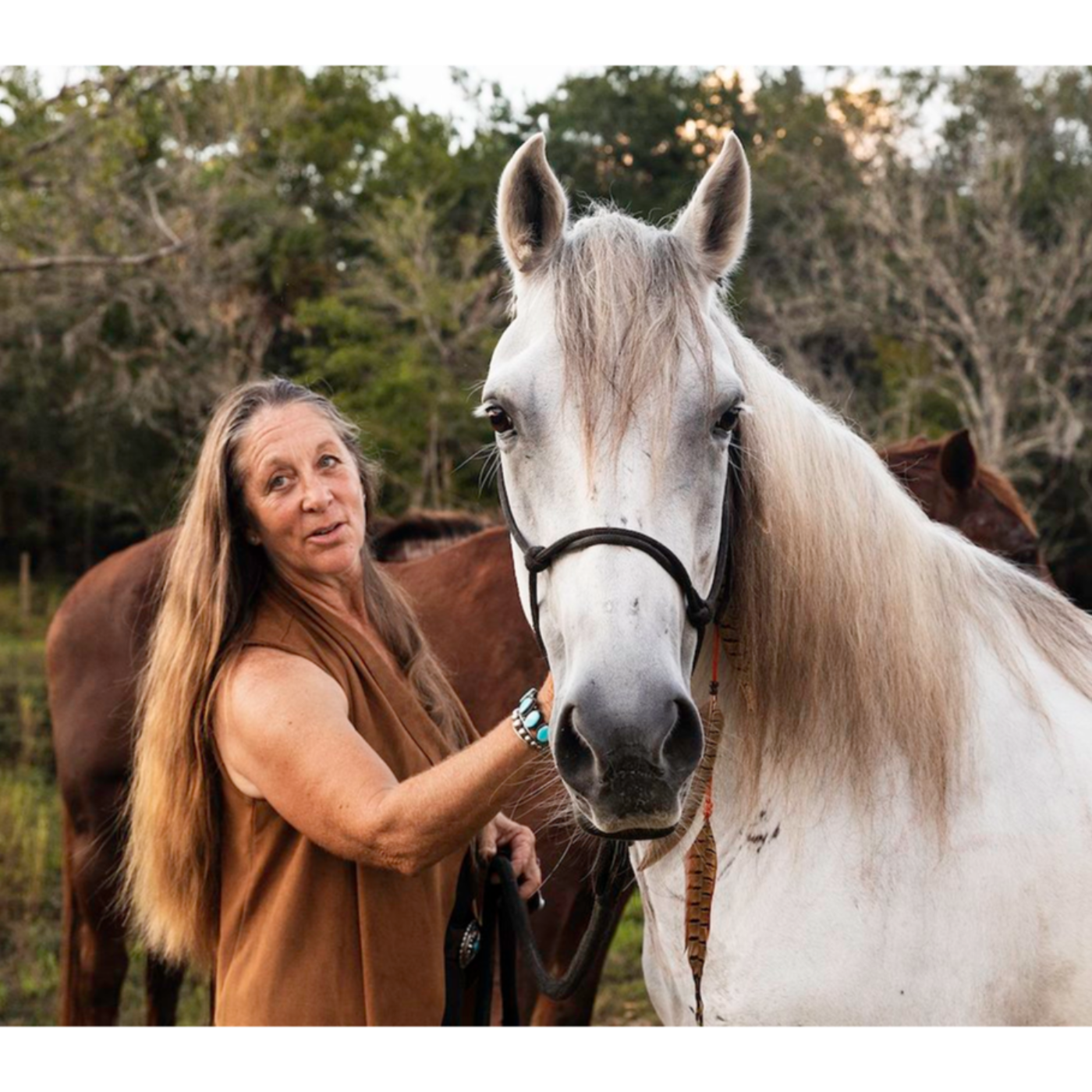 Caretaker of Wild Horses