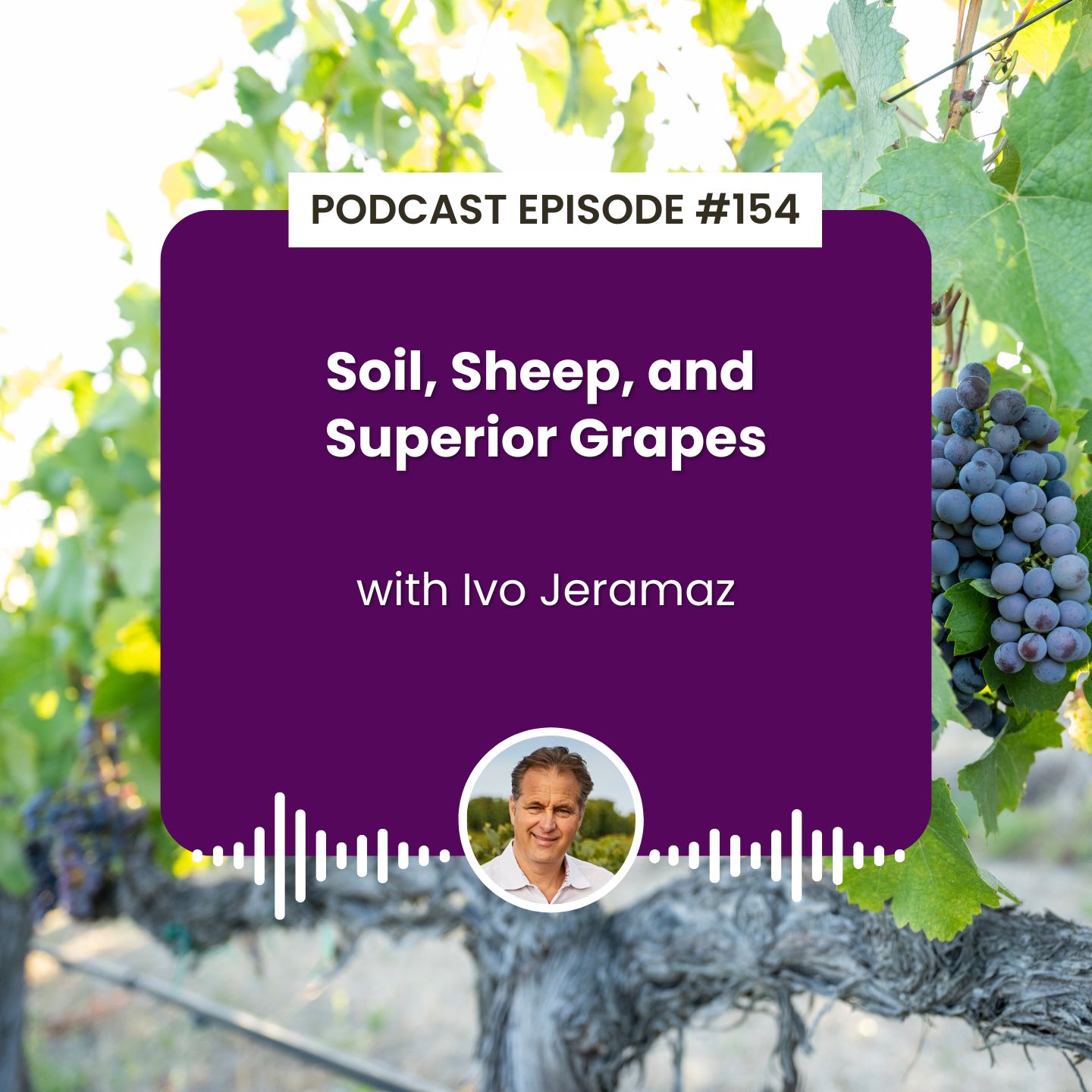 cover of episode Episode 154: Soil, Sheep, and Superior Grapes with Ivo Jeramaz