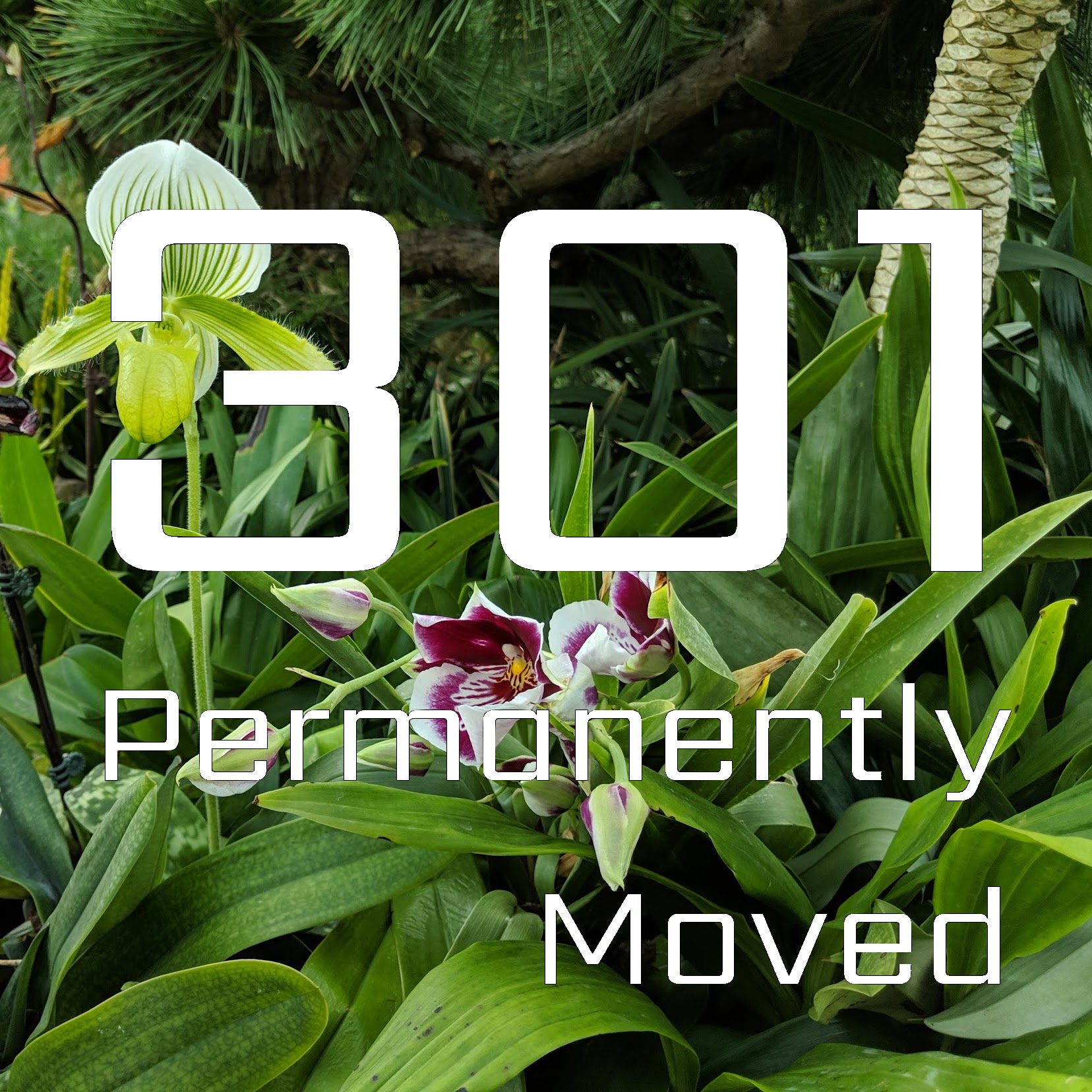 Permanently Moved