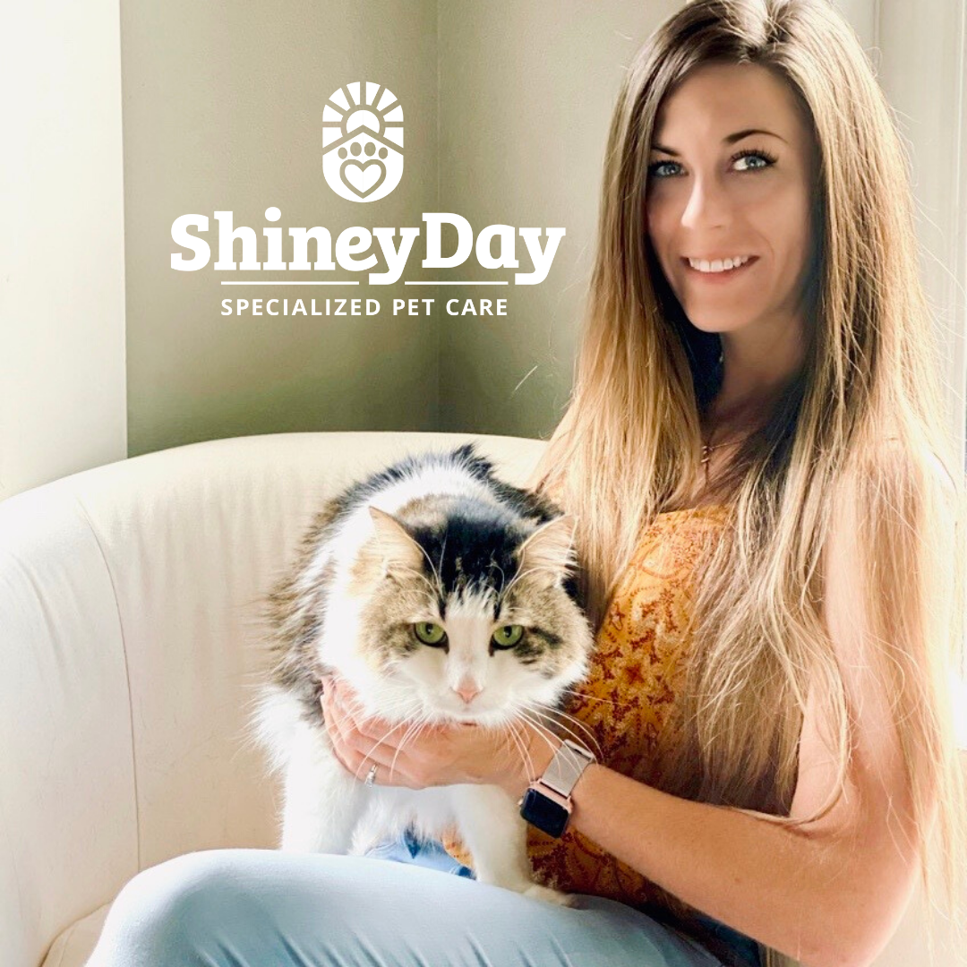 Pet Sitter Confessional