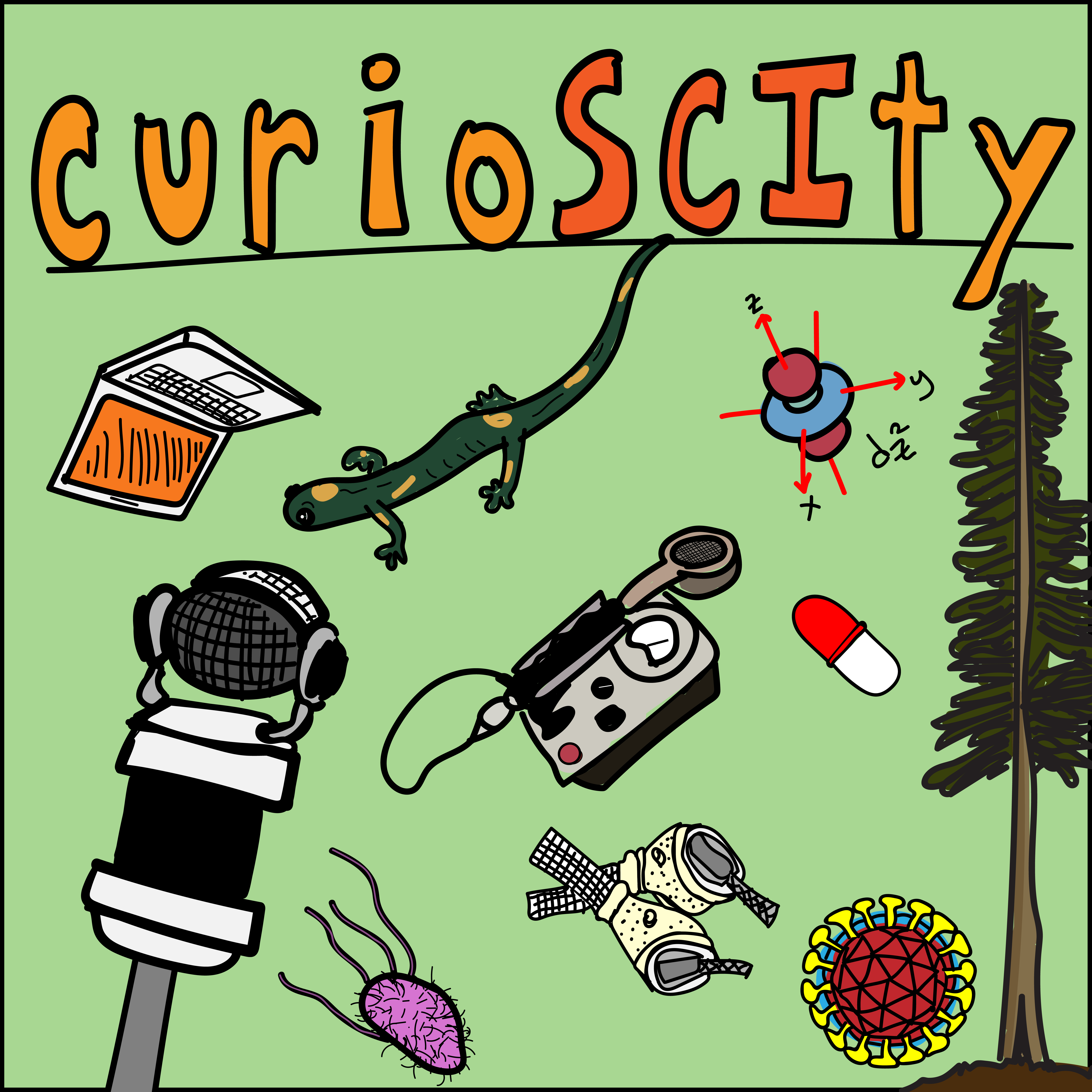 Curioscity