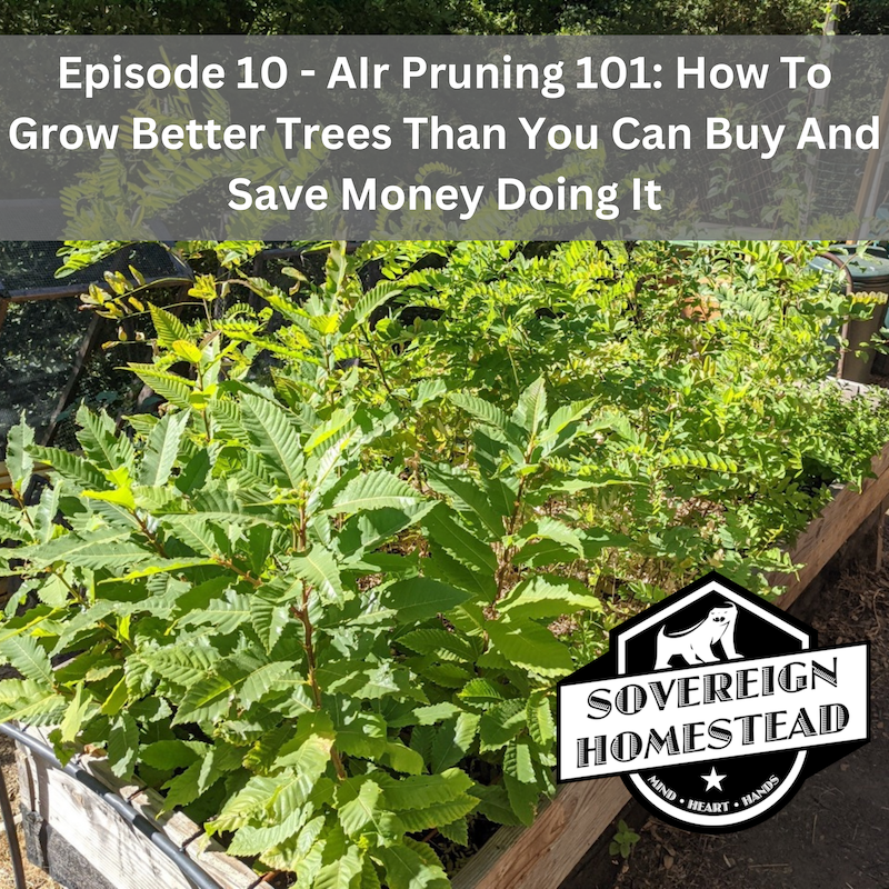The Sovereign Homestead Podcast