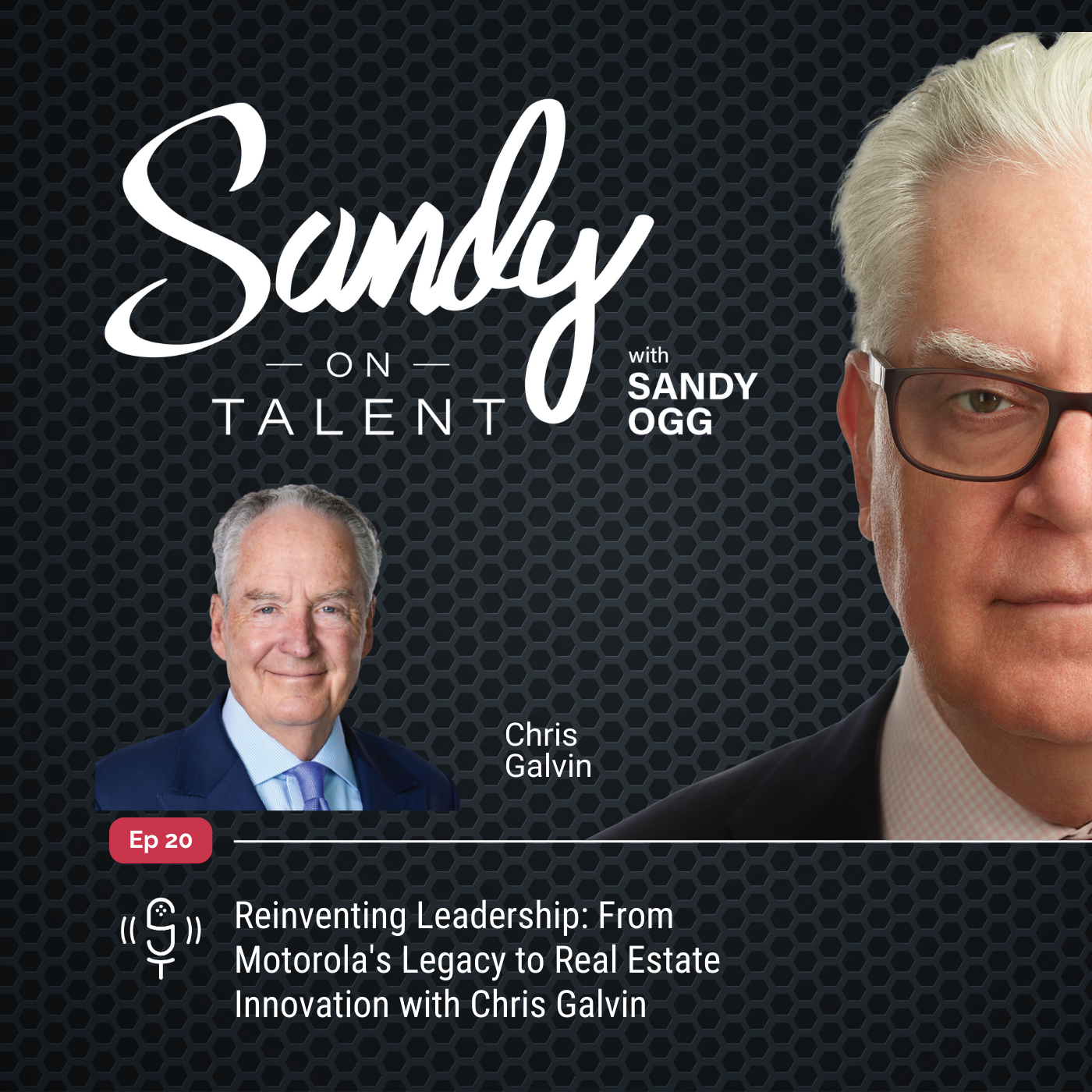 Sandy on Talent - Insights and Strategies for Leadership Excellence and Talent Optimization