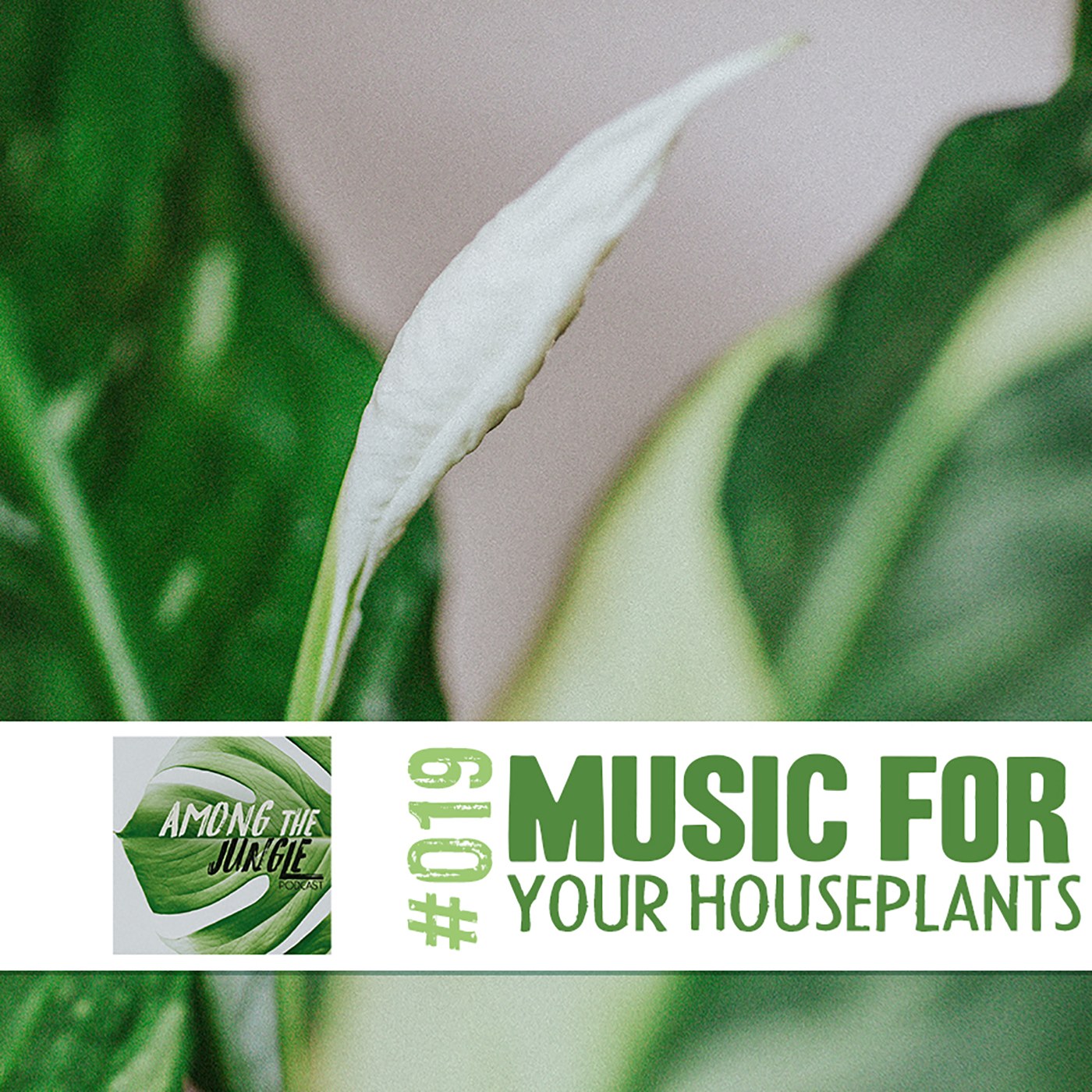 Plant Music Sound Bath for People, Plants and Pets