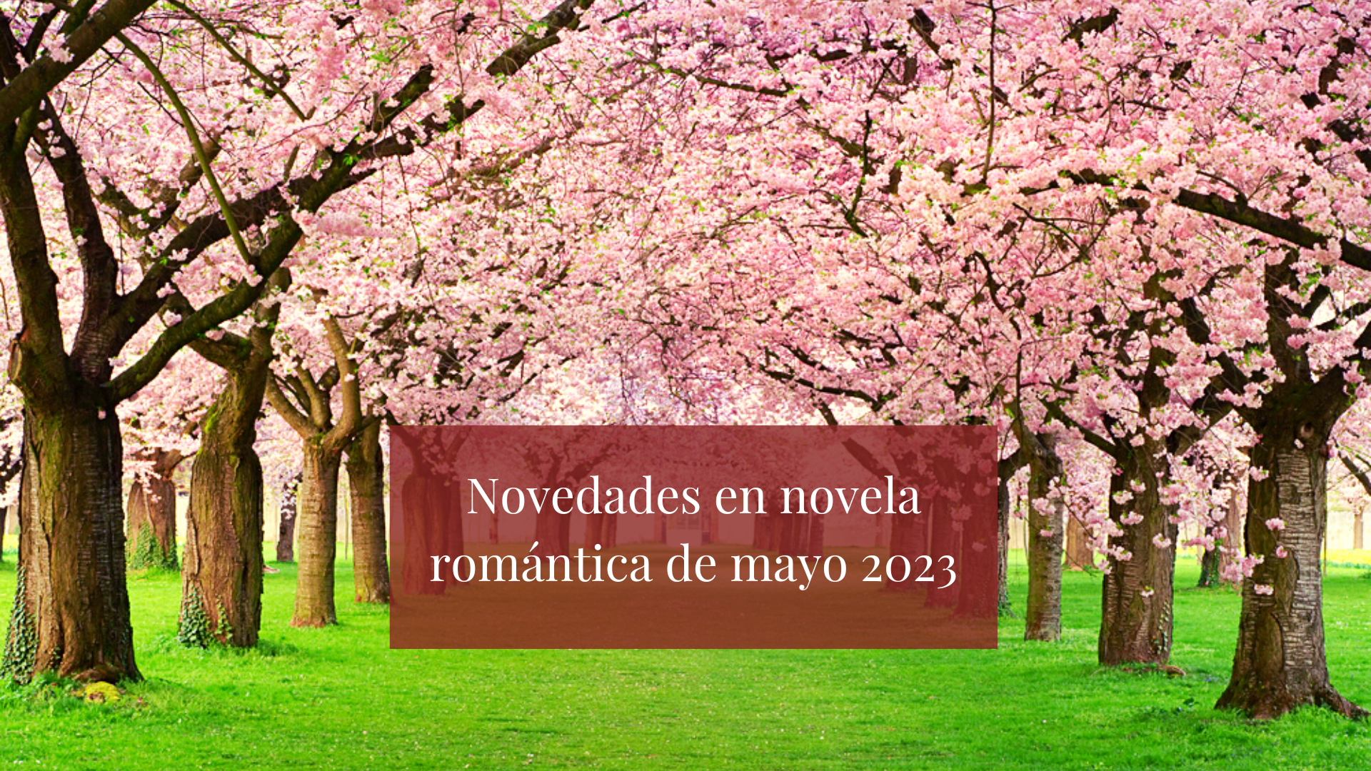 La Tribu de la romántica