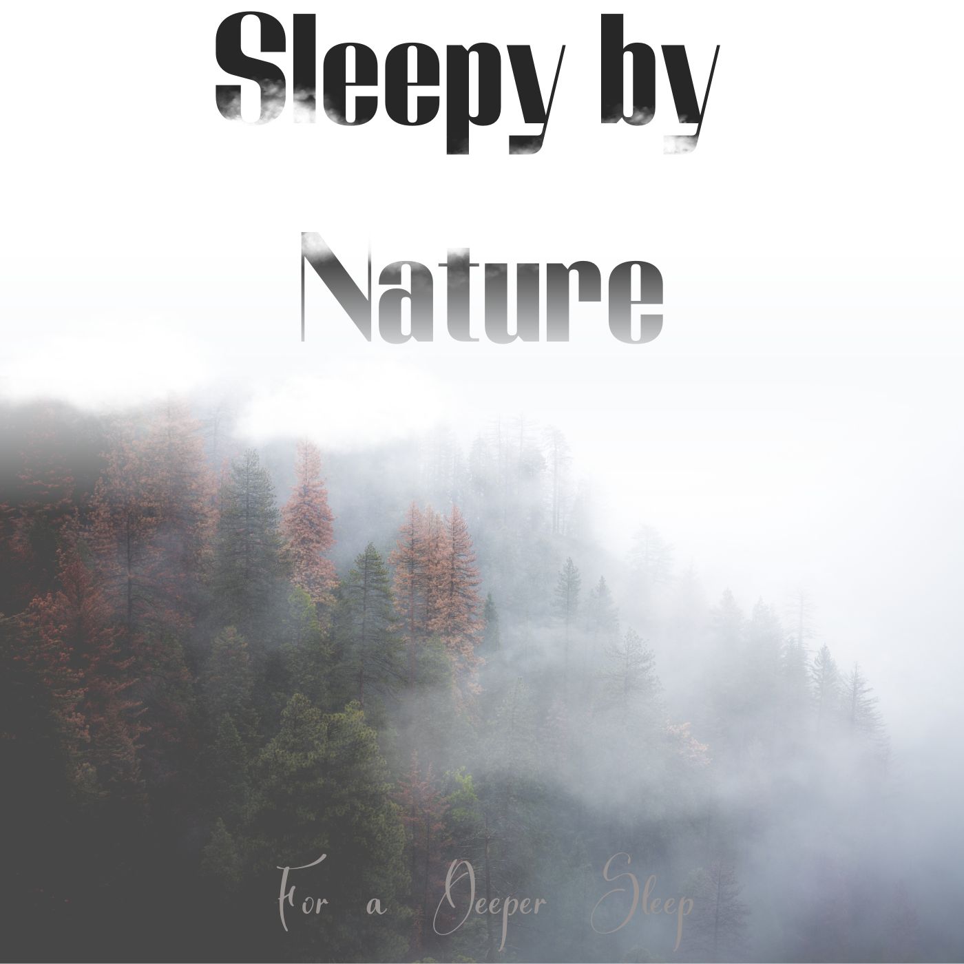 1 Hour Beautiful Rainy Night & Thunder Rumbles Sounds | ASMR Calm Relaxing Nature animals Birds Song for Relaxation Sleeping & Dreaming 🌧️🌲