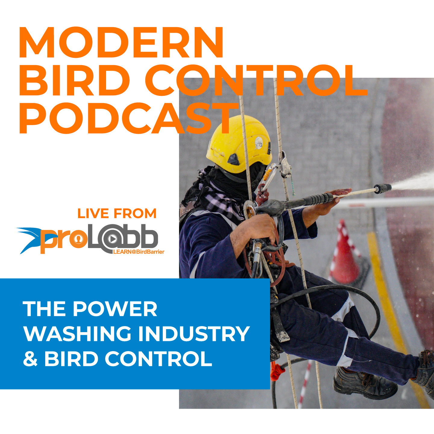 Episode: The Powerwashing Industry & Bird Control
