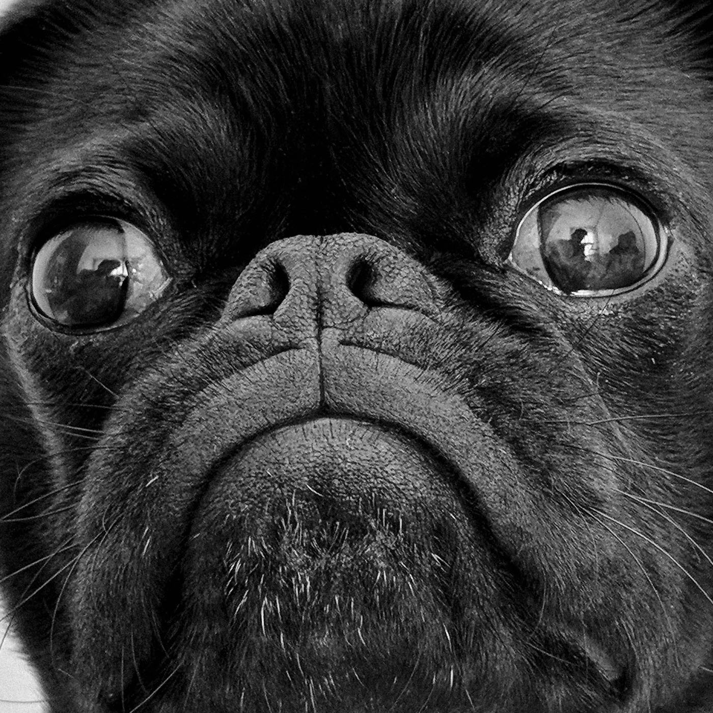 Leadership communications with Rob Cottingham