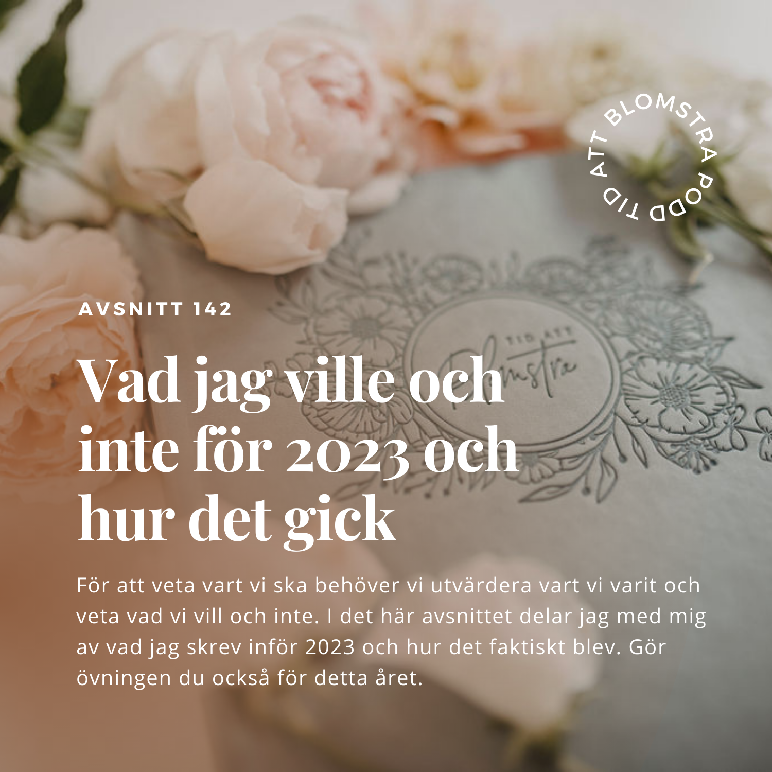 MOMENTUM – vision till verklighet, transformerande ledarskap och frihetsföretagande