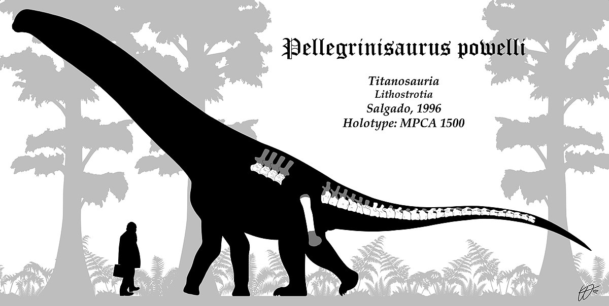 Palaeo After Dark