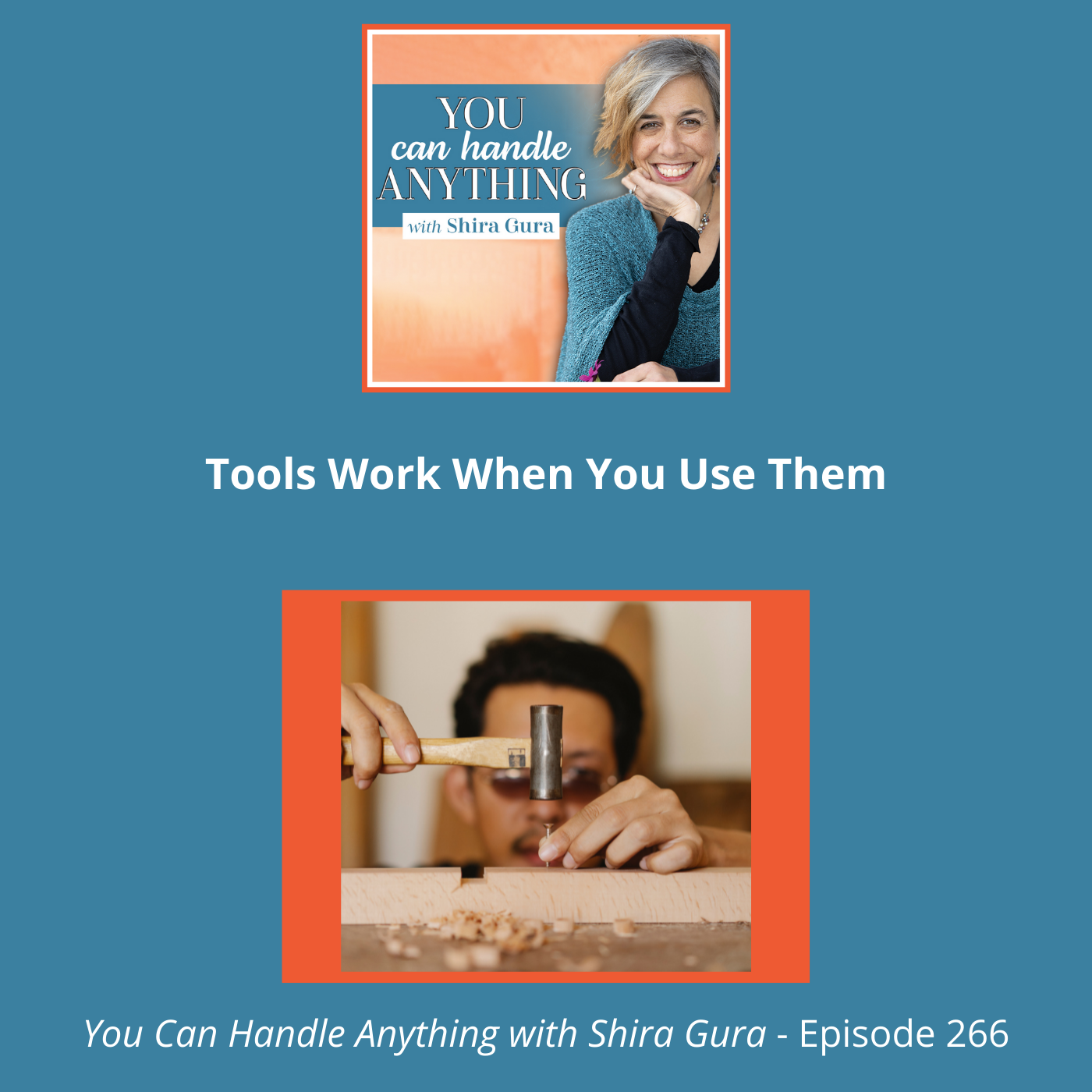 cover of episode 266: The Tools Work (When You Use Them)