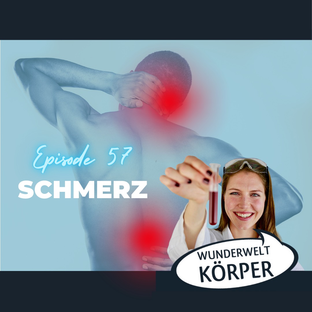 Wunderwelt Körper