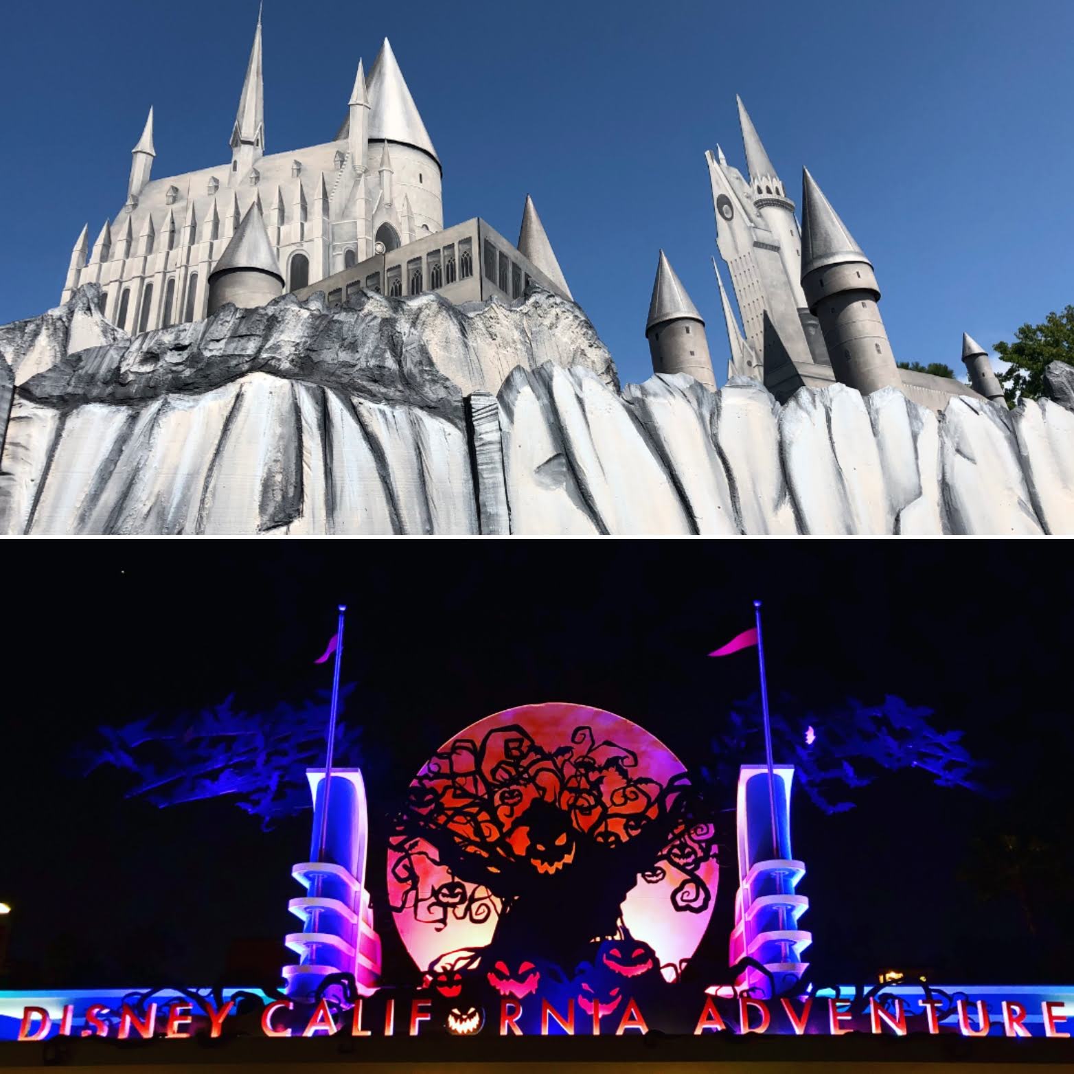 Episode 331 - Disneyland Halloween Time 2018 & Roger's Gardens' Hocus Pocus Halloween Boutique