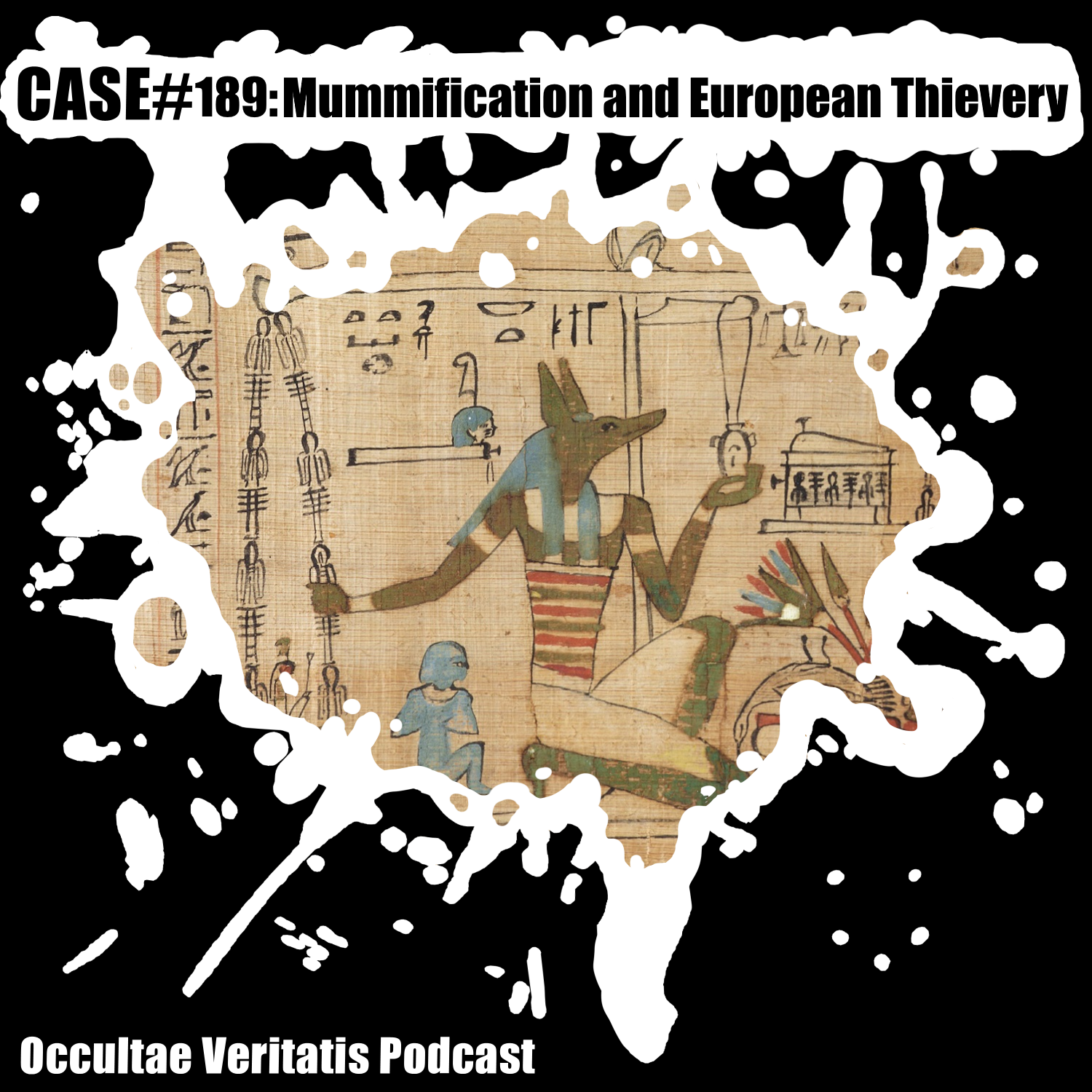 Case #189: Mummification and European Thievery