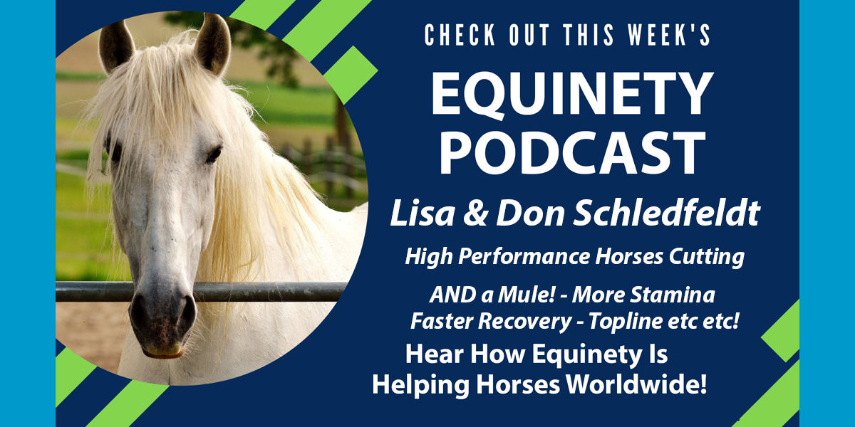 Team Equinety Podcast