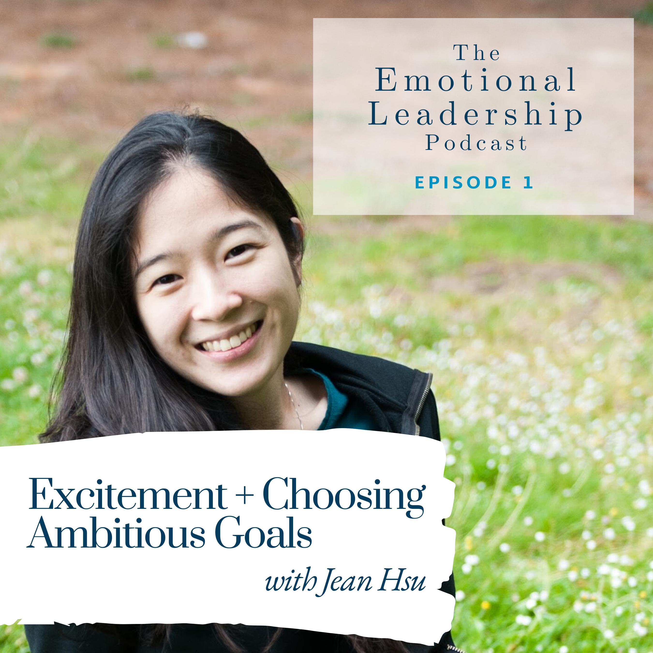 Emotional Leadership