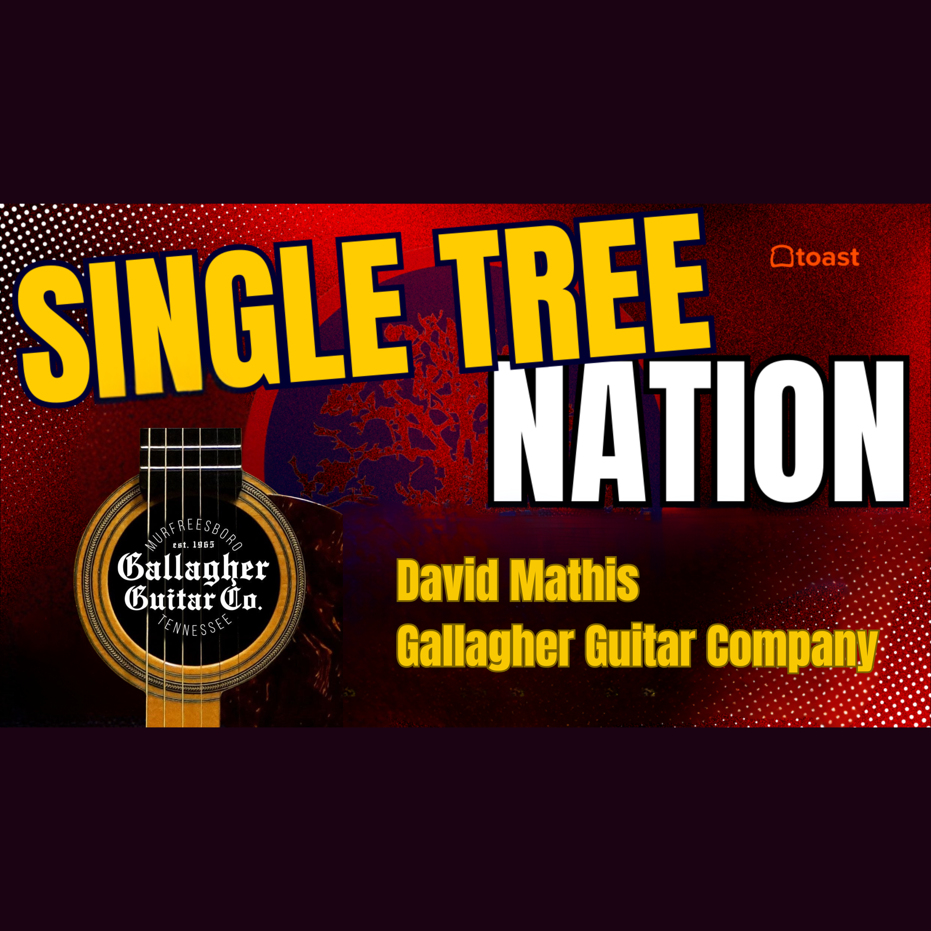 Single Tree Nation: David Mathis - Gallagher Guitar Company