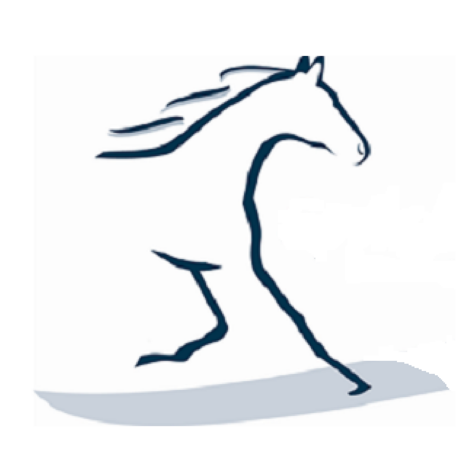 Straight from the Horse Doctor\'s Mouth