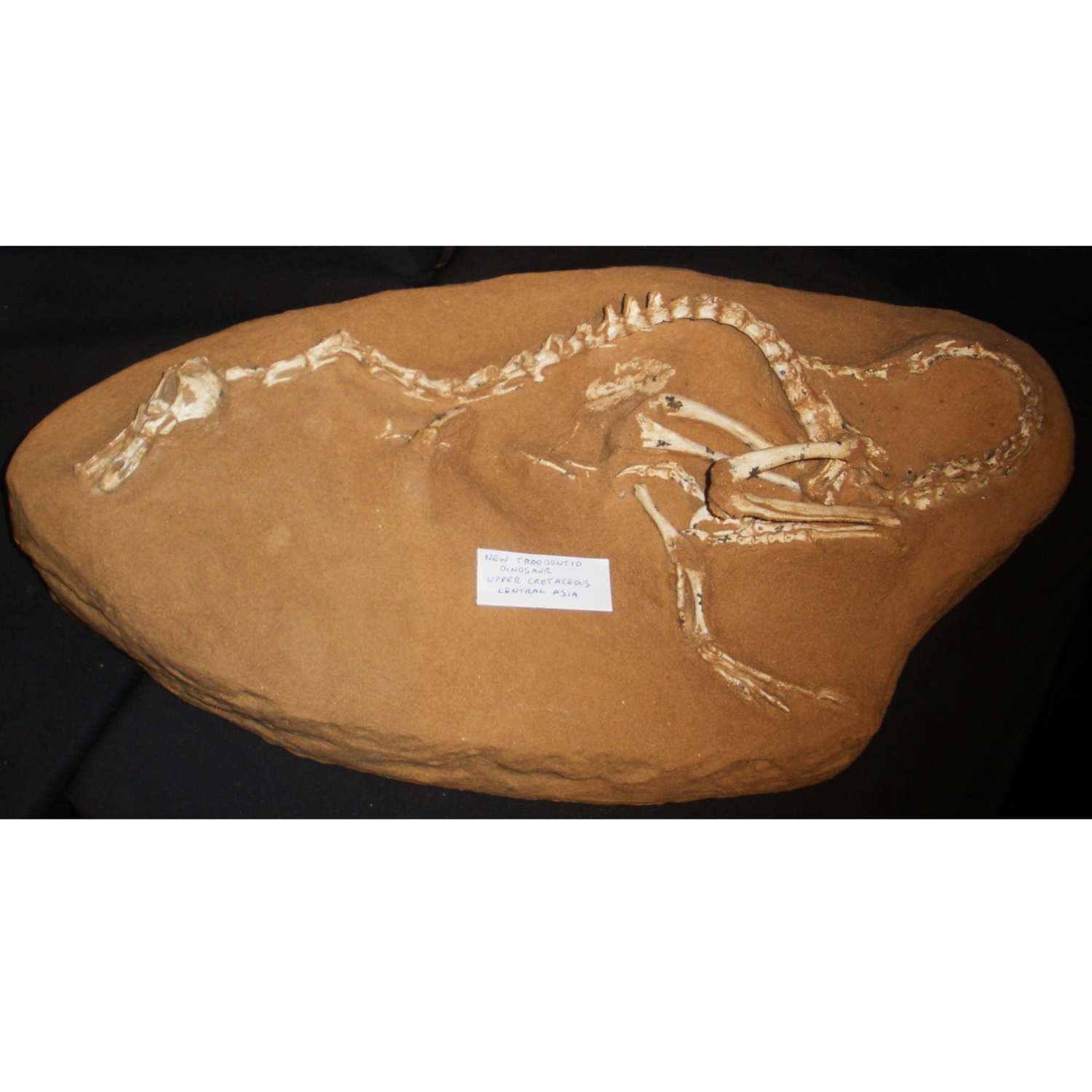 Dinogoose