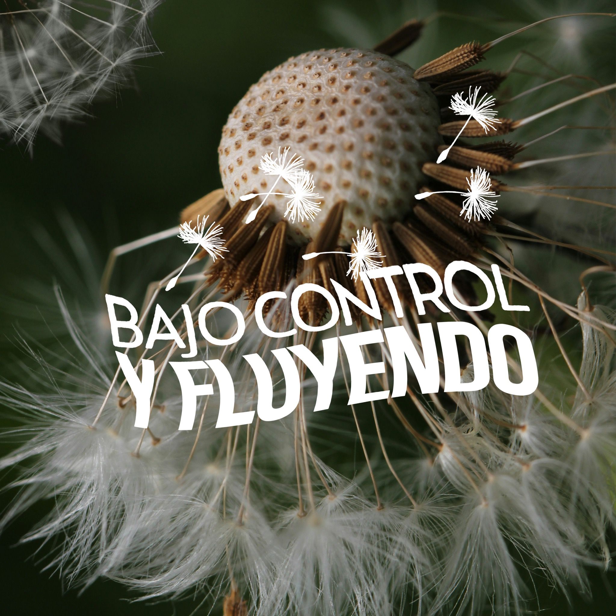 Bajo Control Y Fluyendo