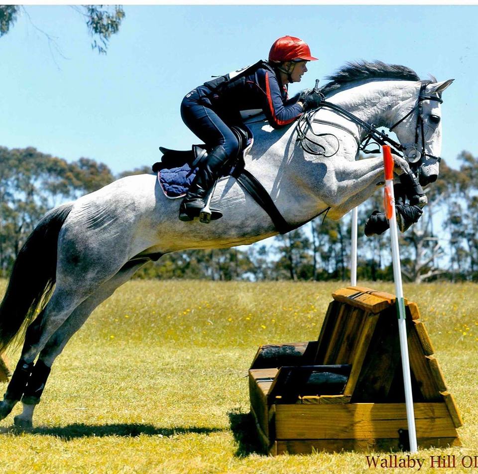 0192: Jo Hoole - Getting The Canter Right Is More Important Than The Jumping Height