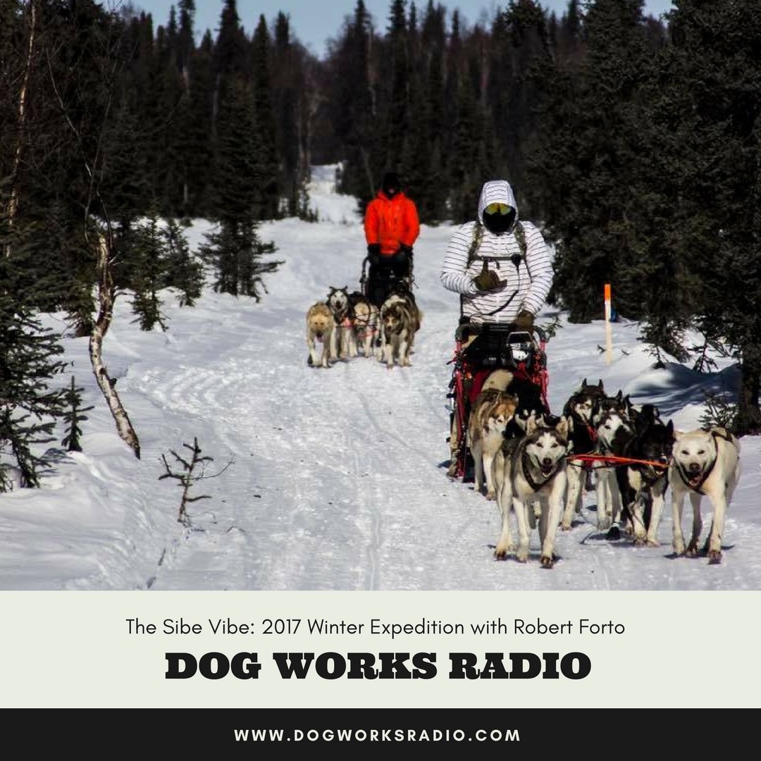 Dog Works Radio