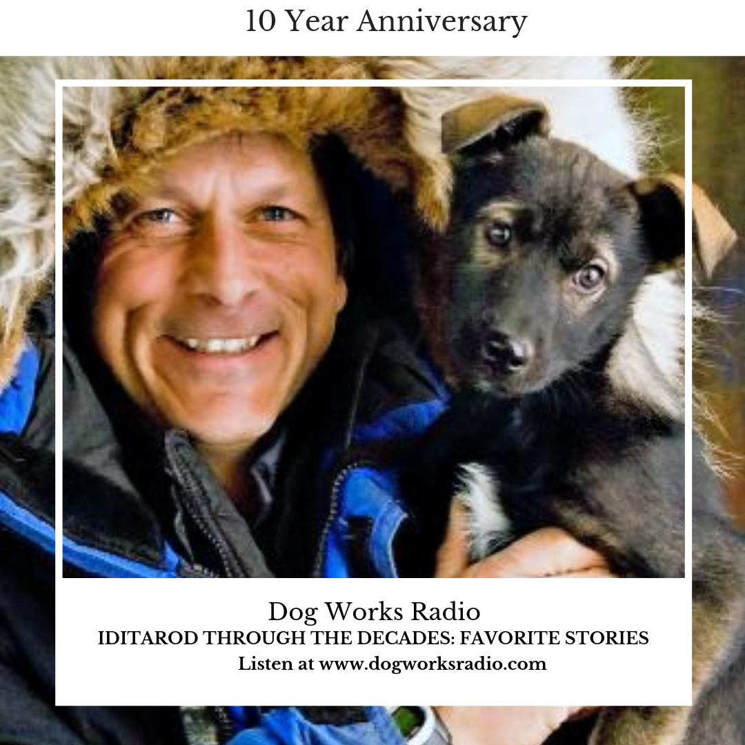 Iditarod Through the Decades Favorite Stories