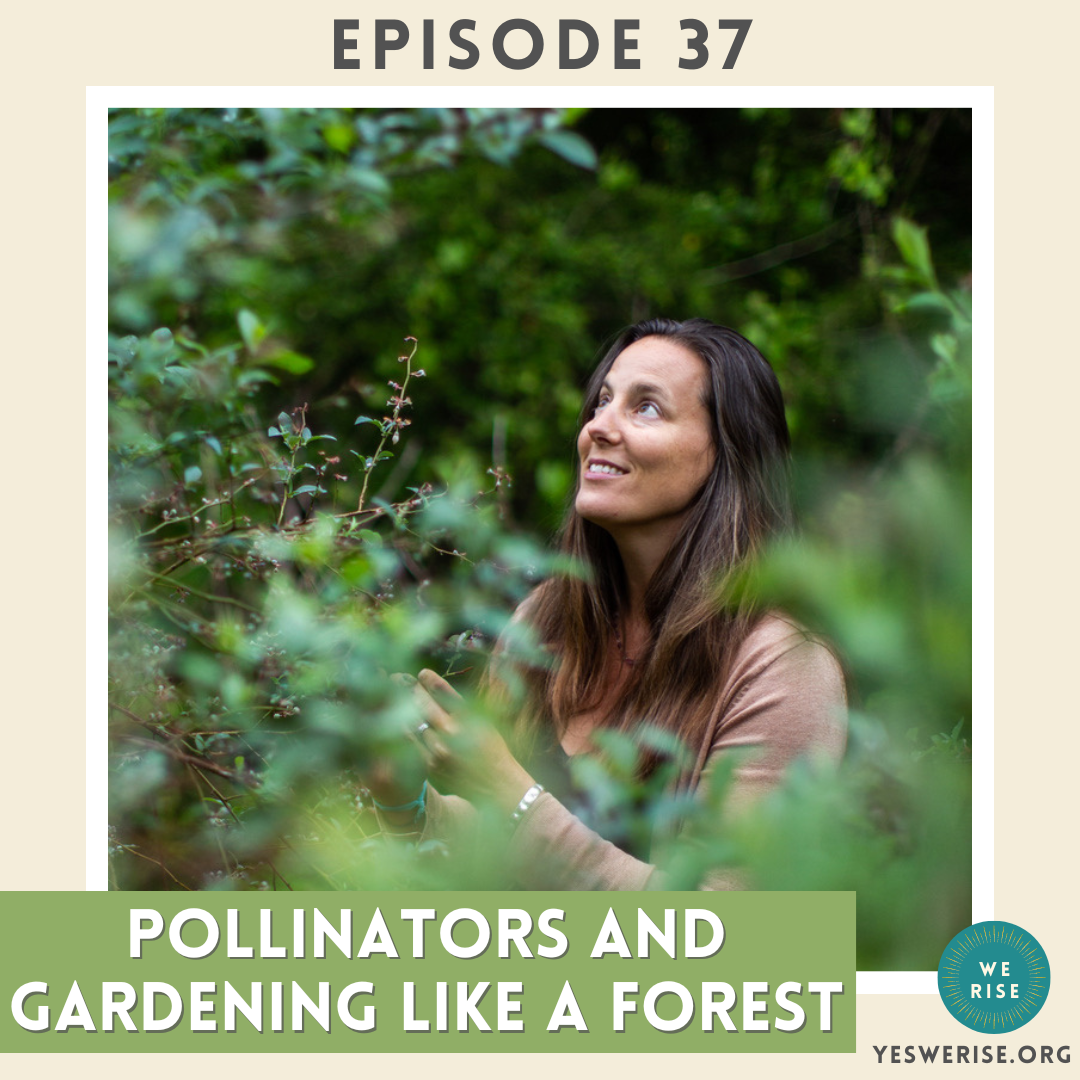 Pollinators and Gardening Like A Forest