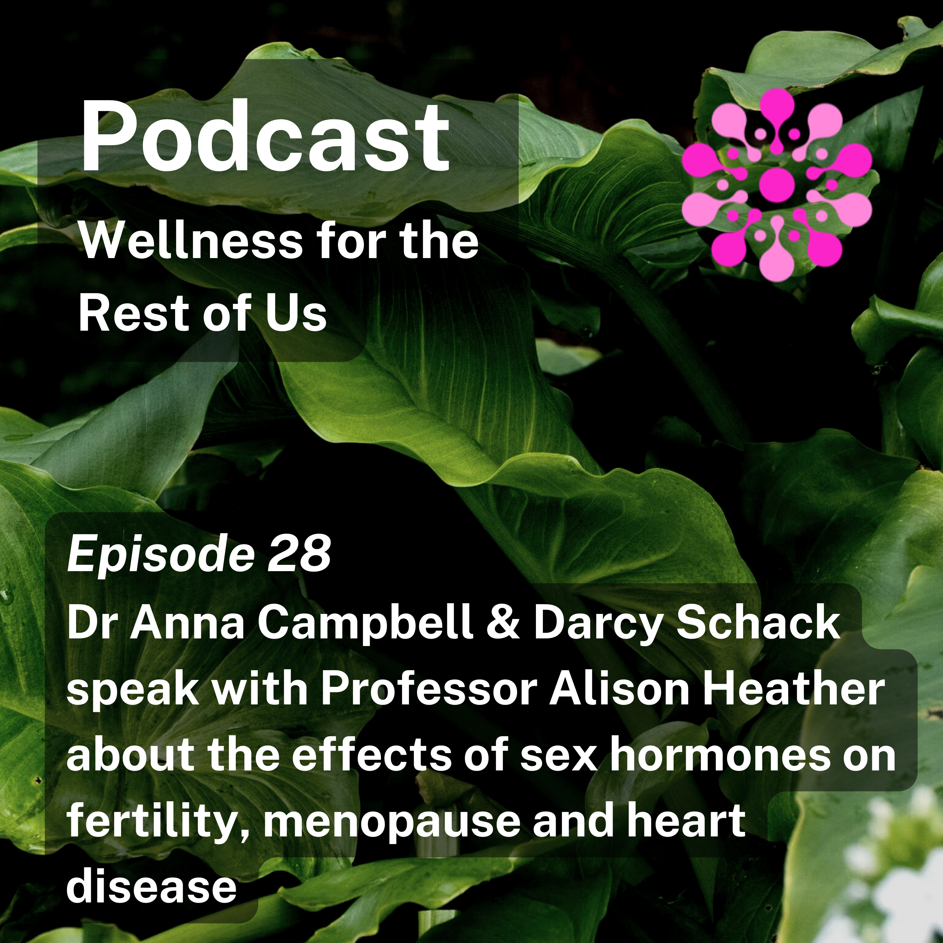 Wellness For The Rest Of US