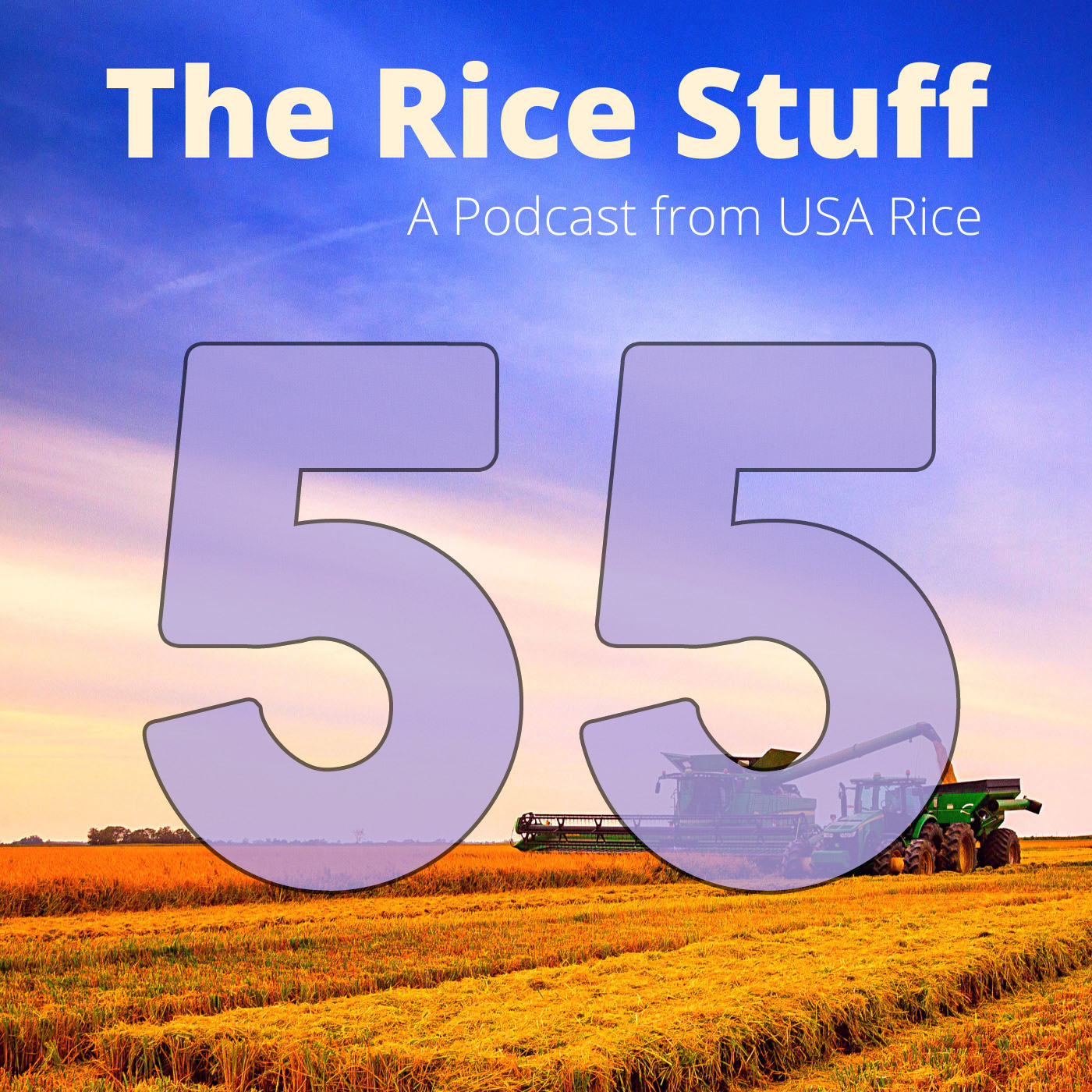 The Rice Stuff