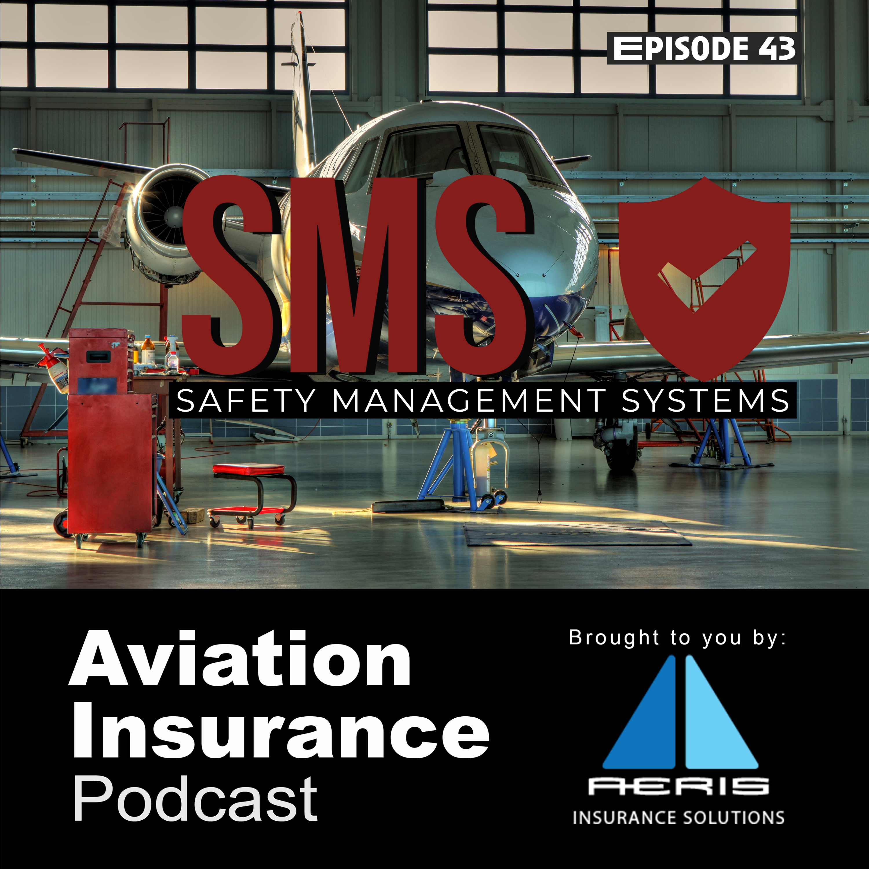 Episode 43: Safety Management System