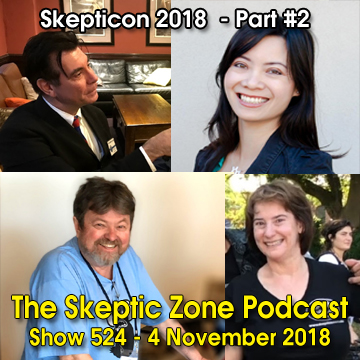 The Skeptic Zone