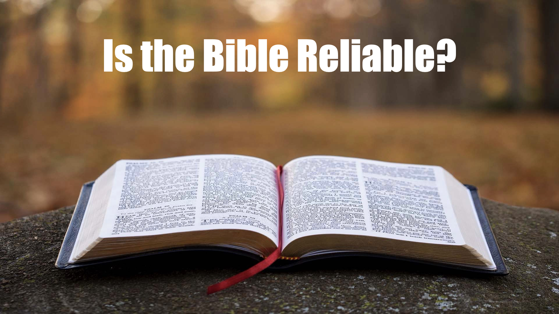 Should We Trust the Bible? (Tony Gurule)