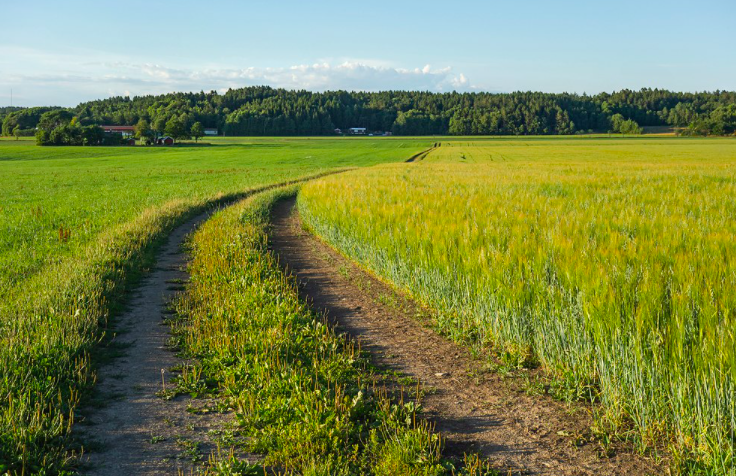 Healthy Soils for a Healthy Planet