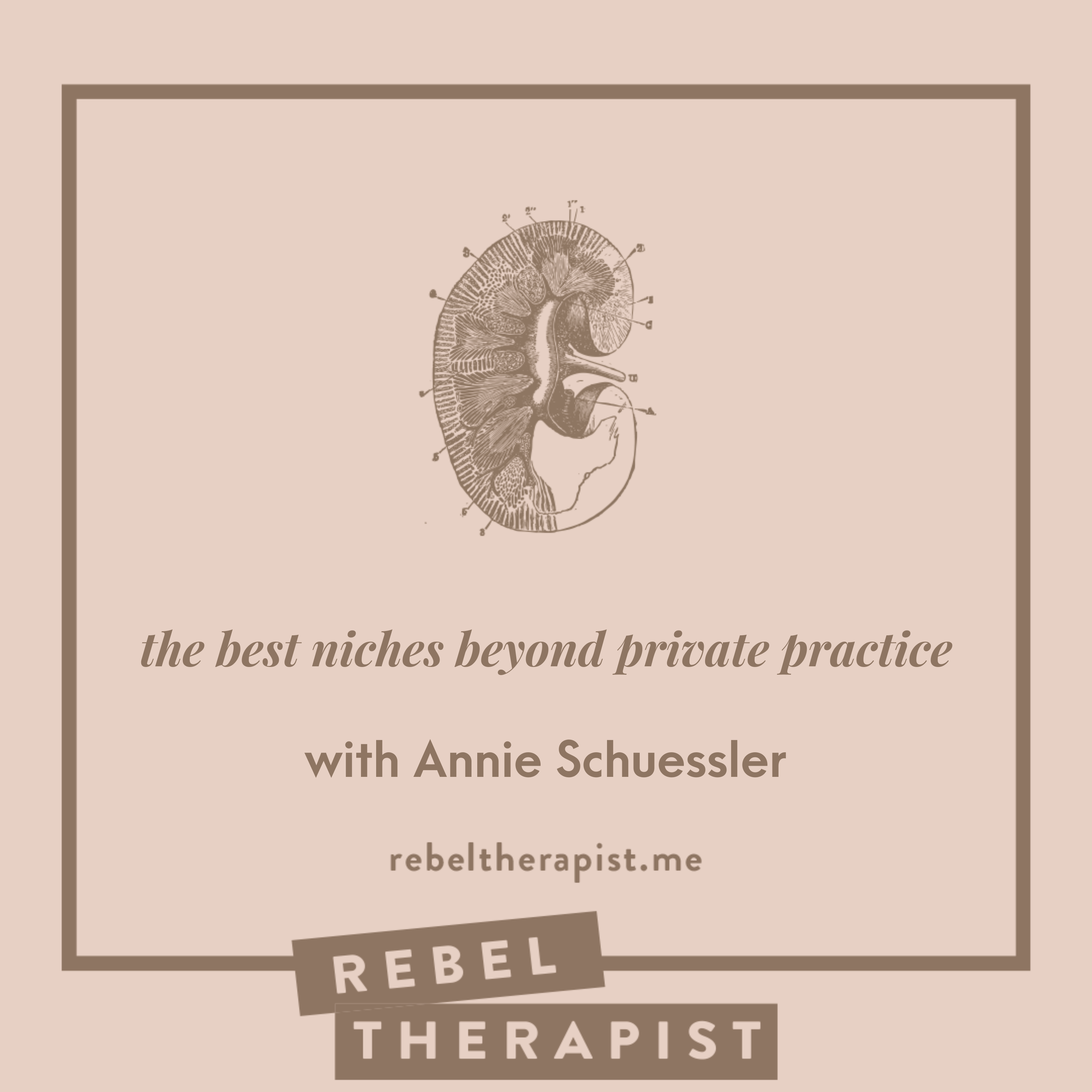 The Best Niches Beyond Private Practice