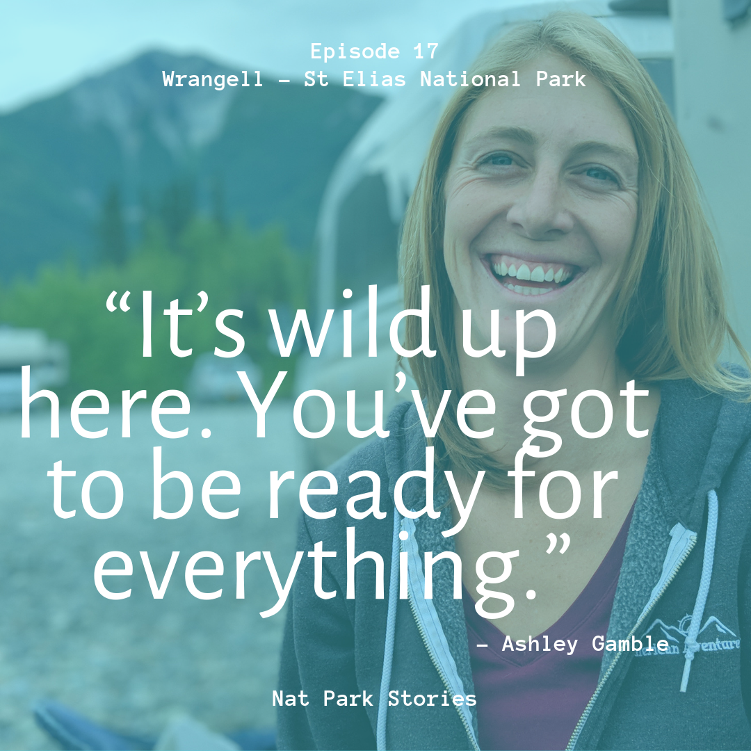 Nat Park Stories