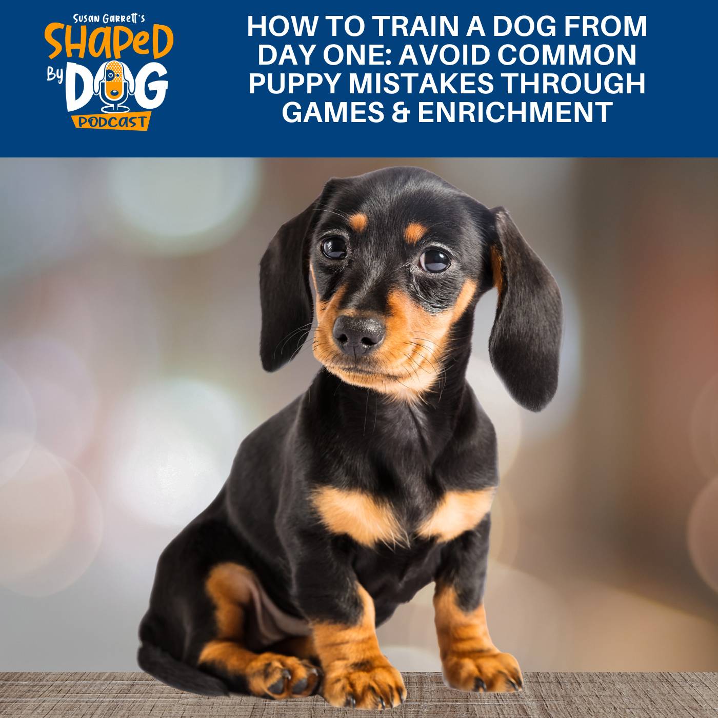 Shaped by Dog with Susan Garrett