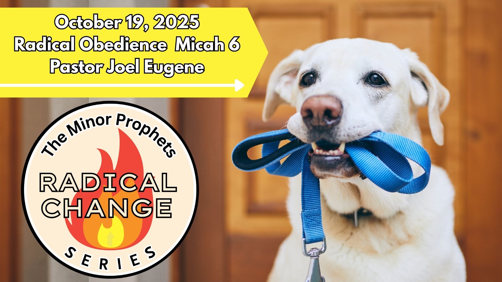 Praise Tabernacle Podcast