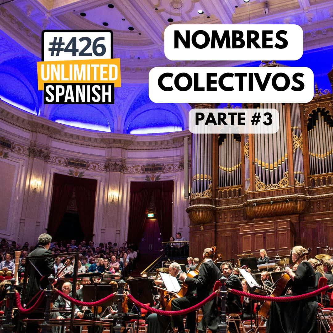 #426 Nombre colectivos 3