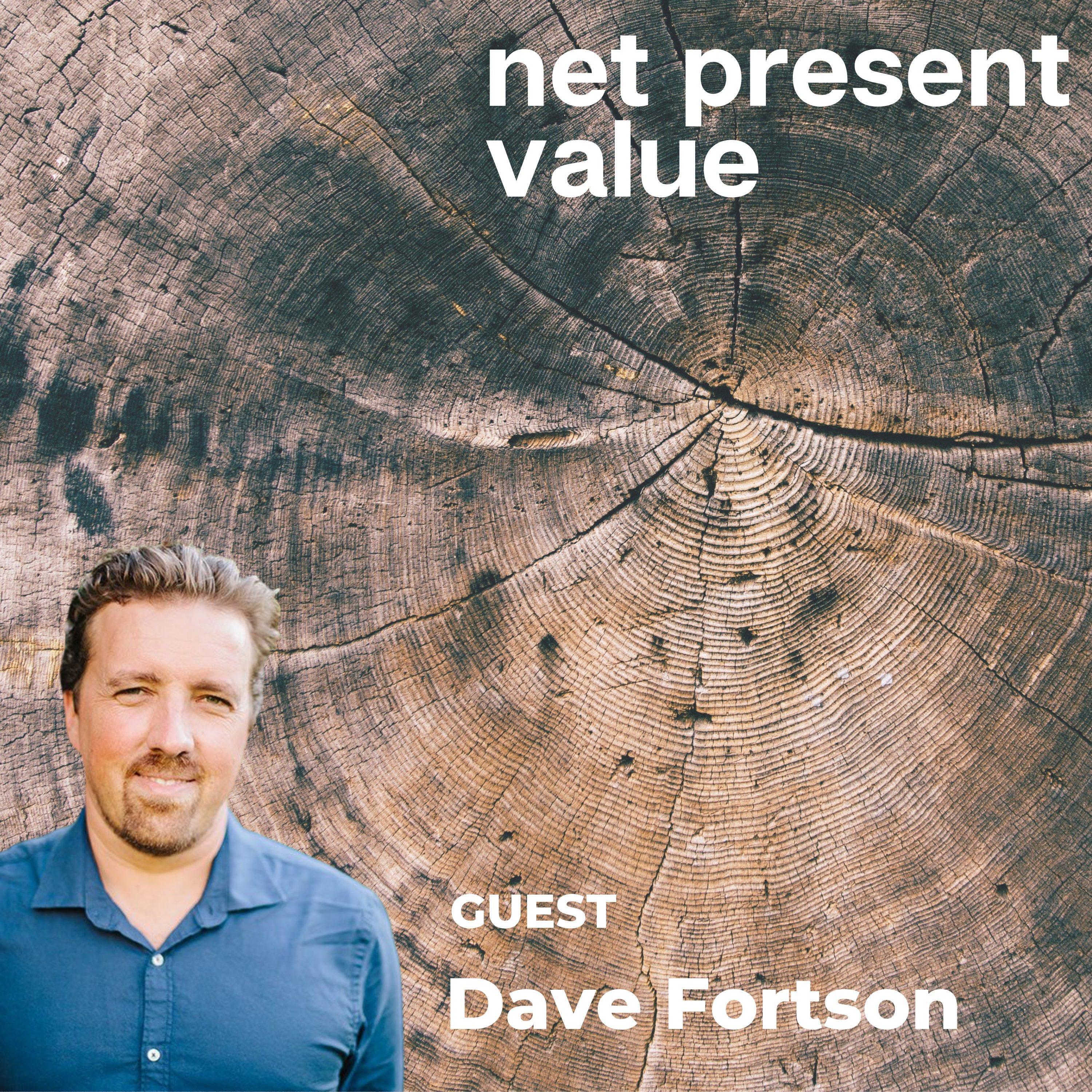 net present value
