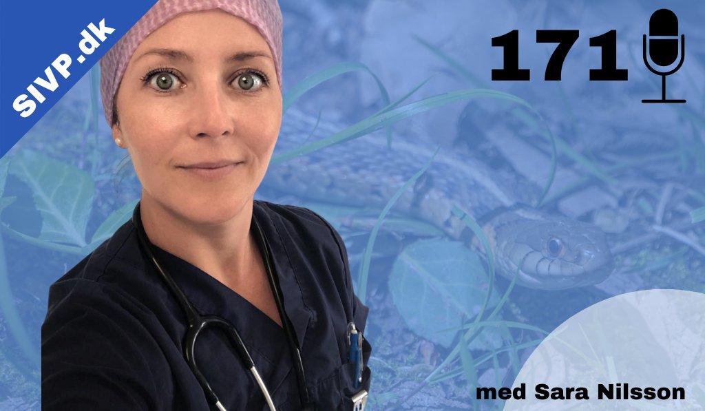 cover of episode SIVP171: Hugormebid hos hund og kat: Symptomer og behandling med Sara Nilsson