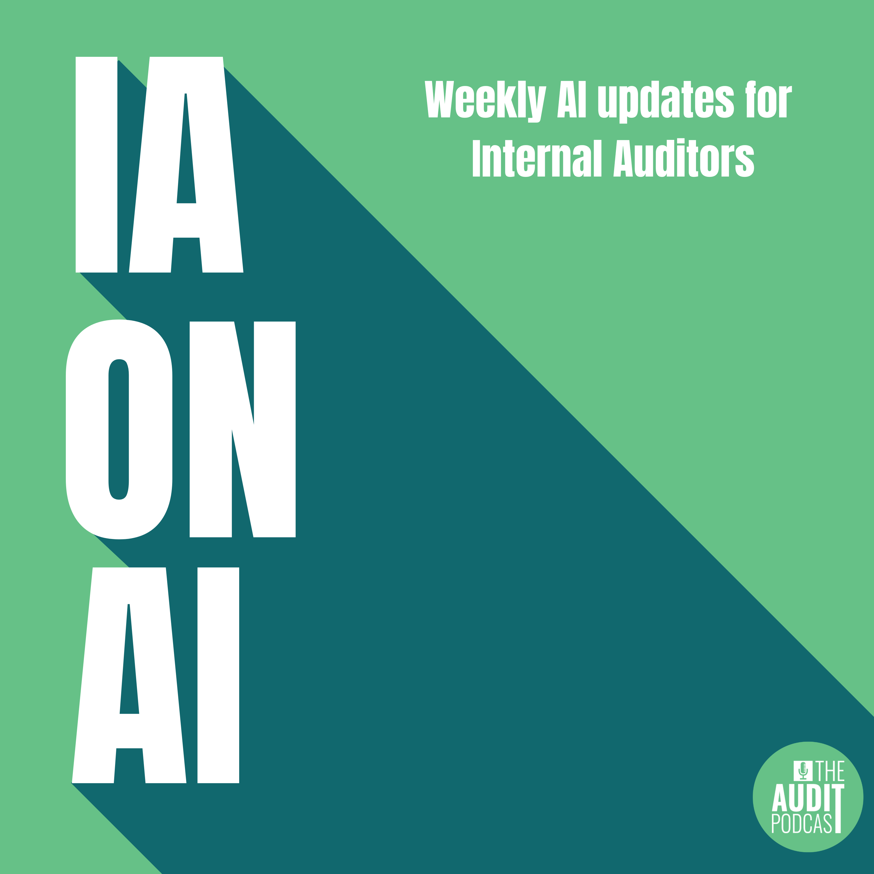 The Audit Podcast
