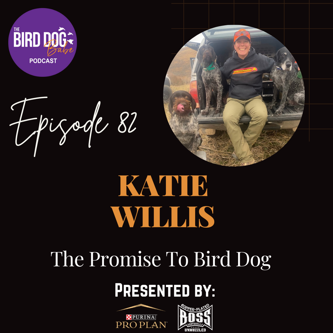 Episode 082: The Promise To Bird Dog w/Katie Willis