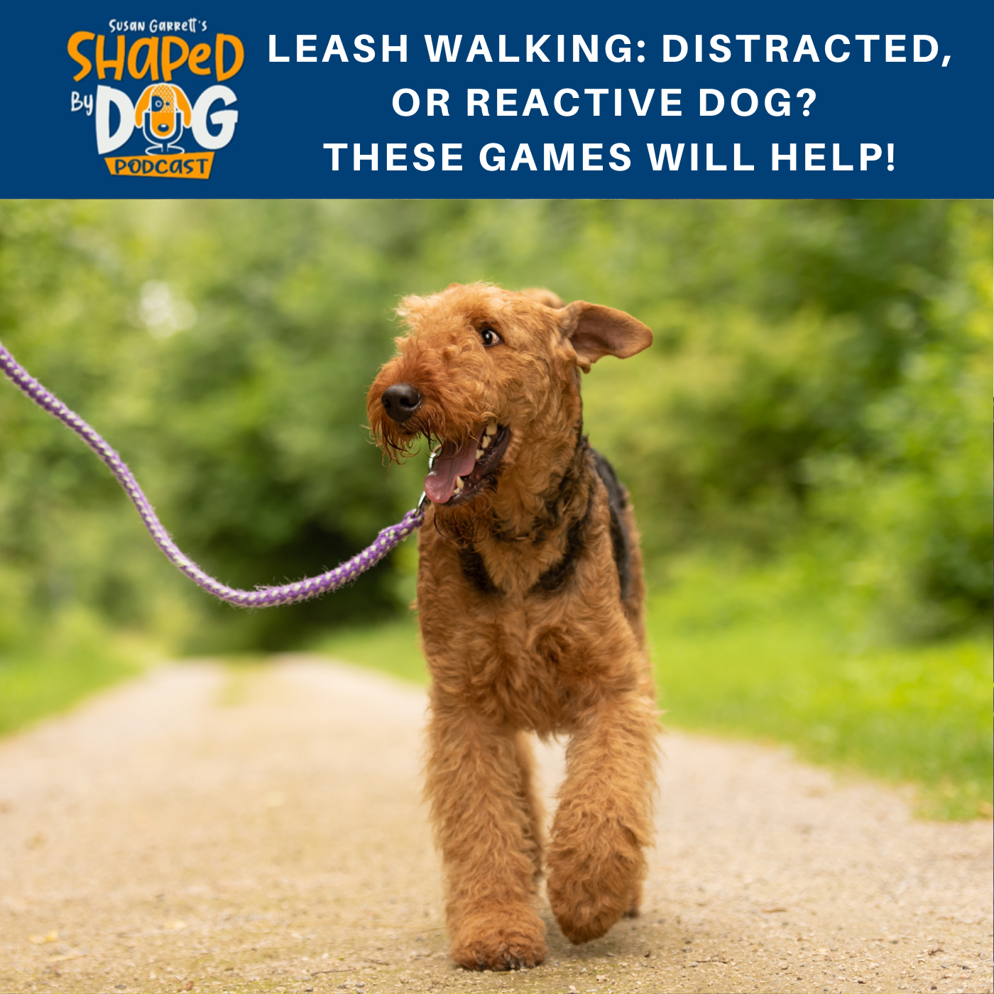 Shaped by Dog with Susan Garrett