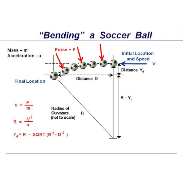 The Physics of Sport
