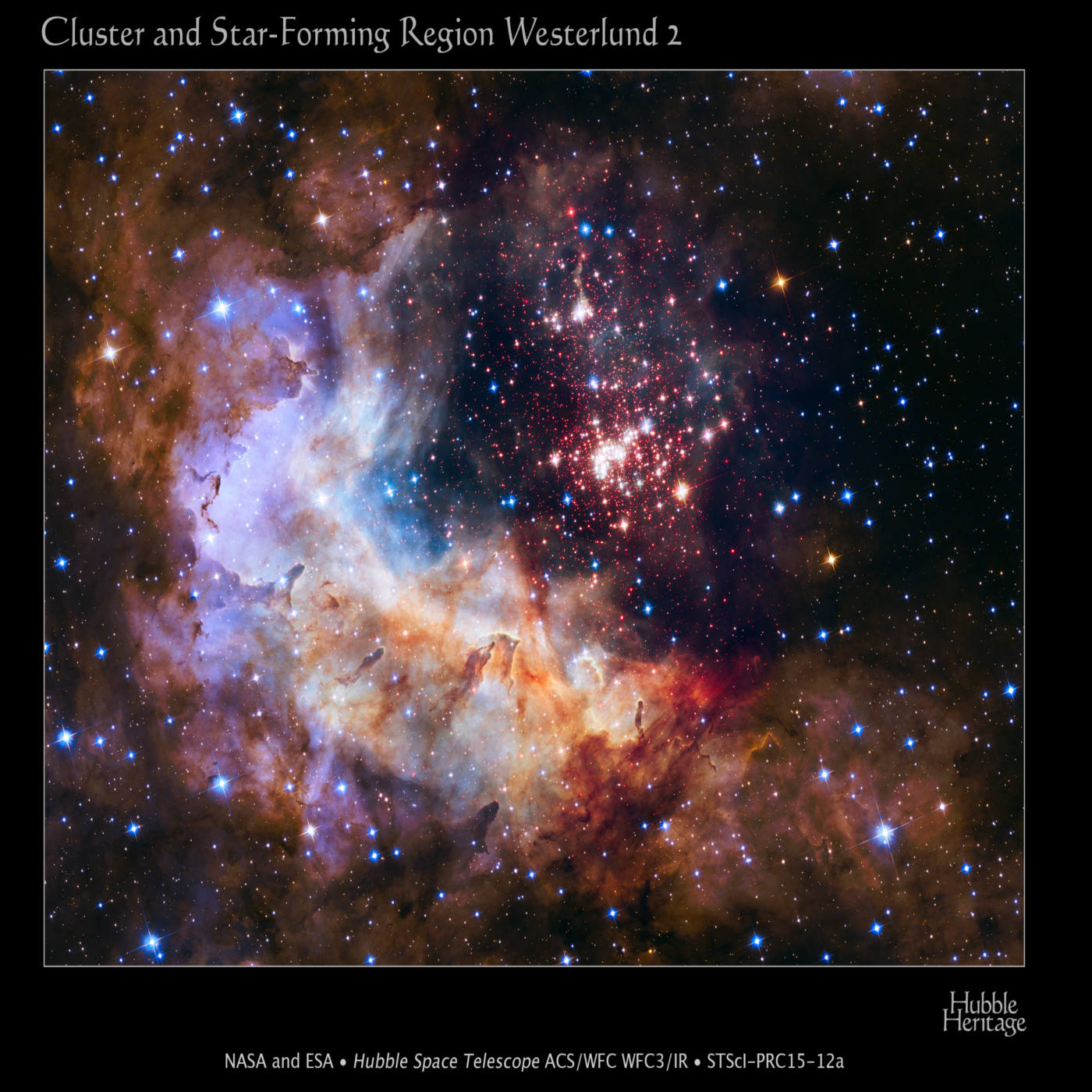 A Universe Full of WIMPS