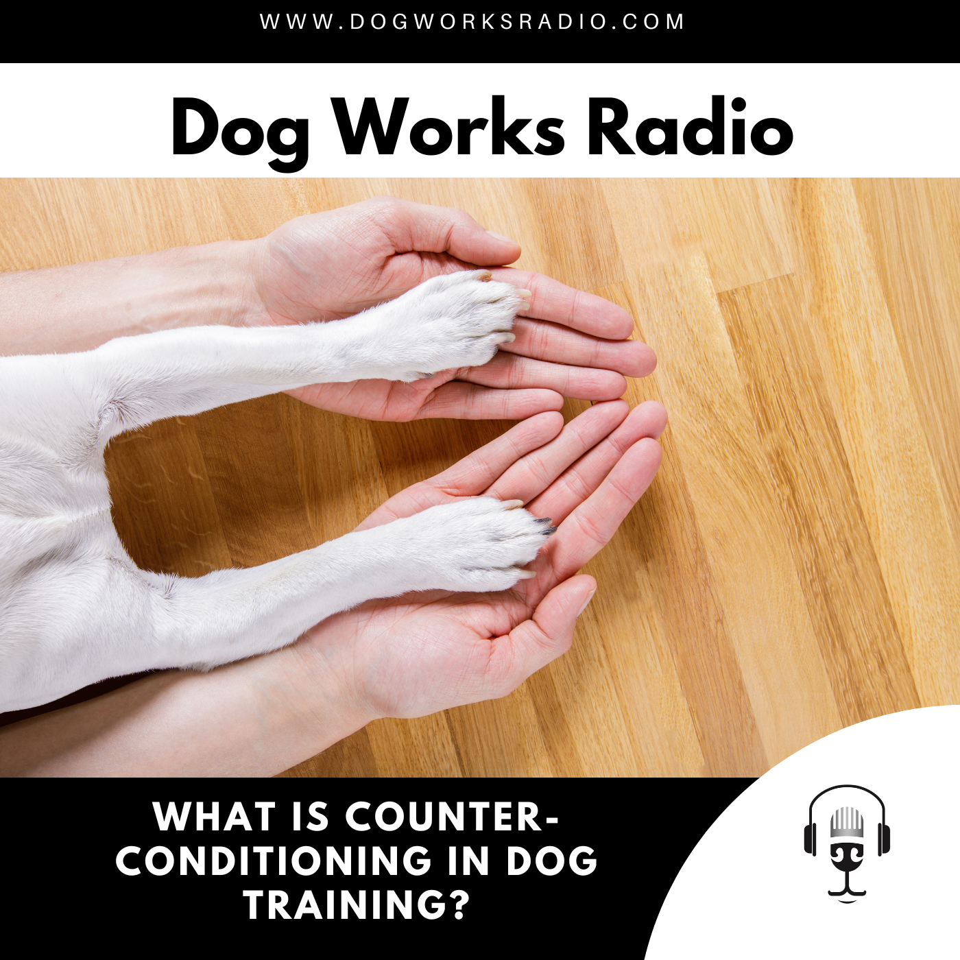 Dog Works Radio