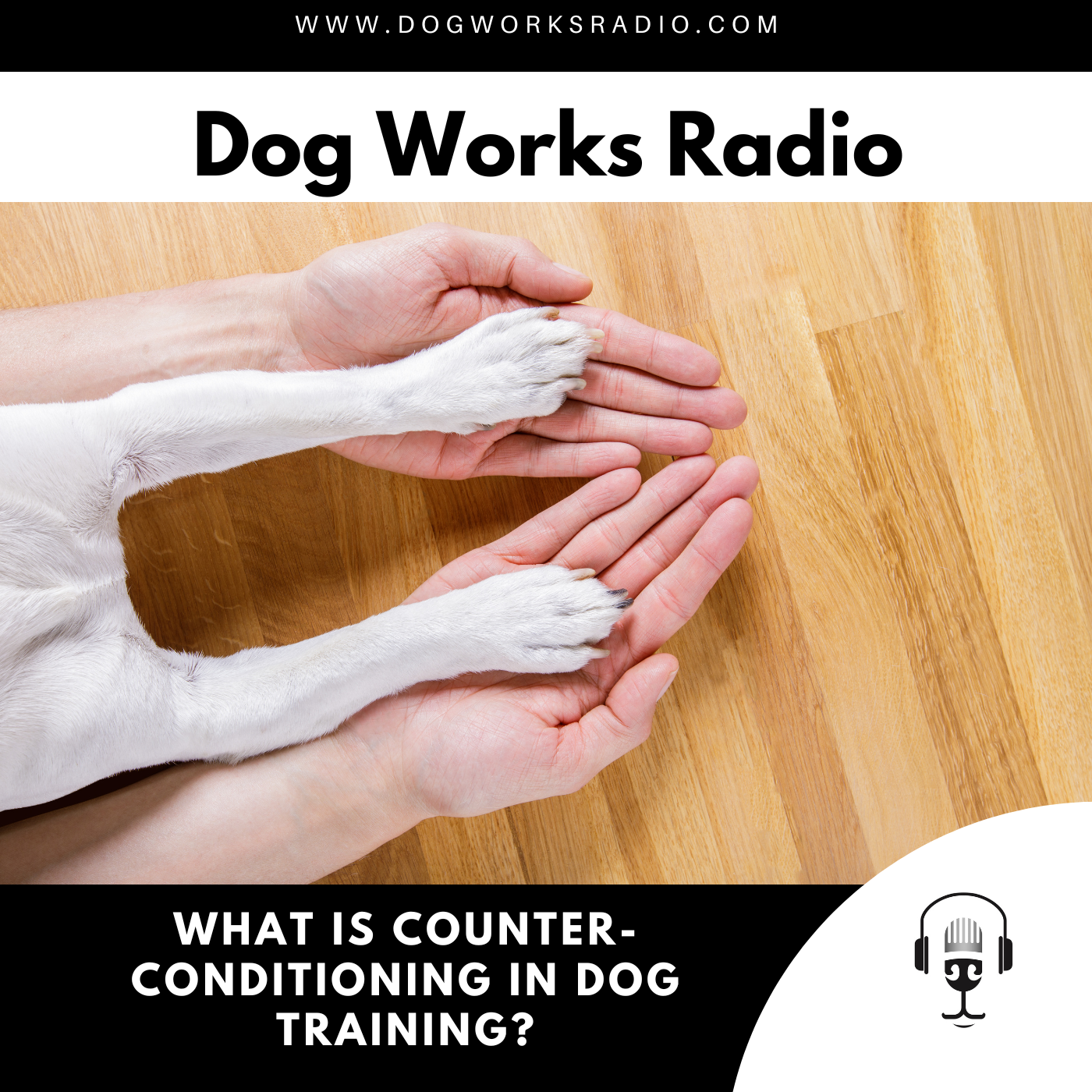 What is Counter Conditioning and Desensitization in Dog Training?