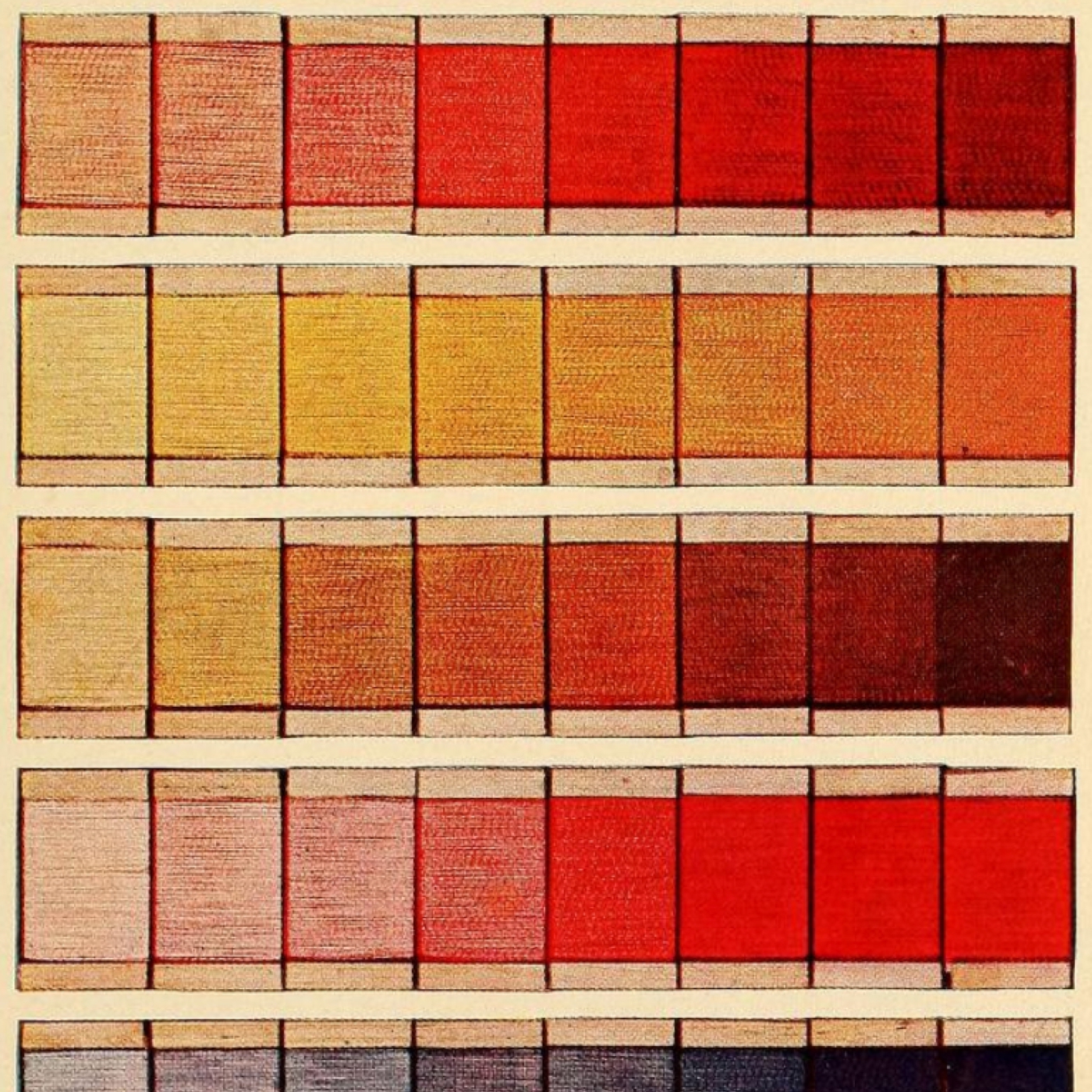 Montessori Education with Jesse McCarthy